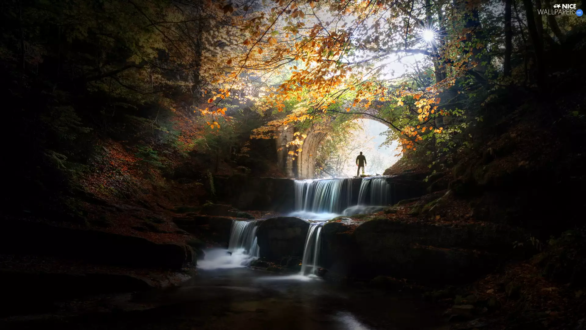 Rocks, trees, bridge, viewes, forest, waterfall, Human