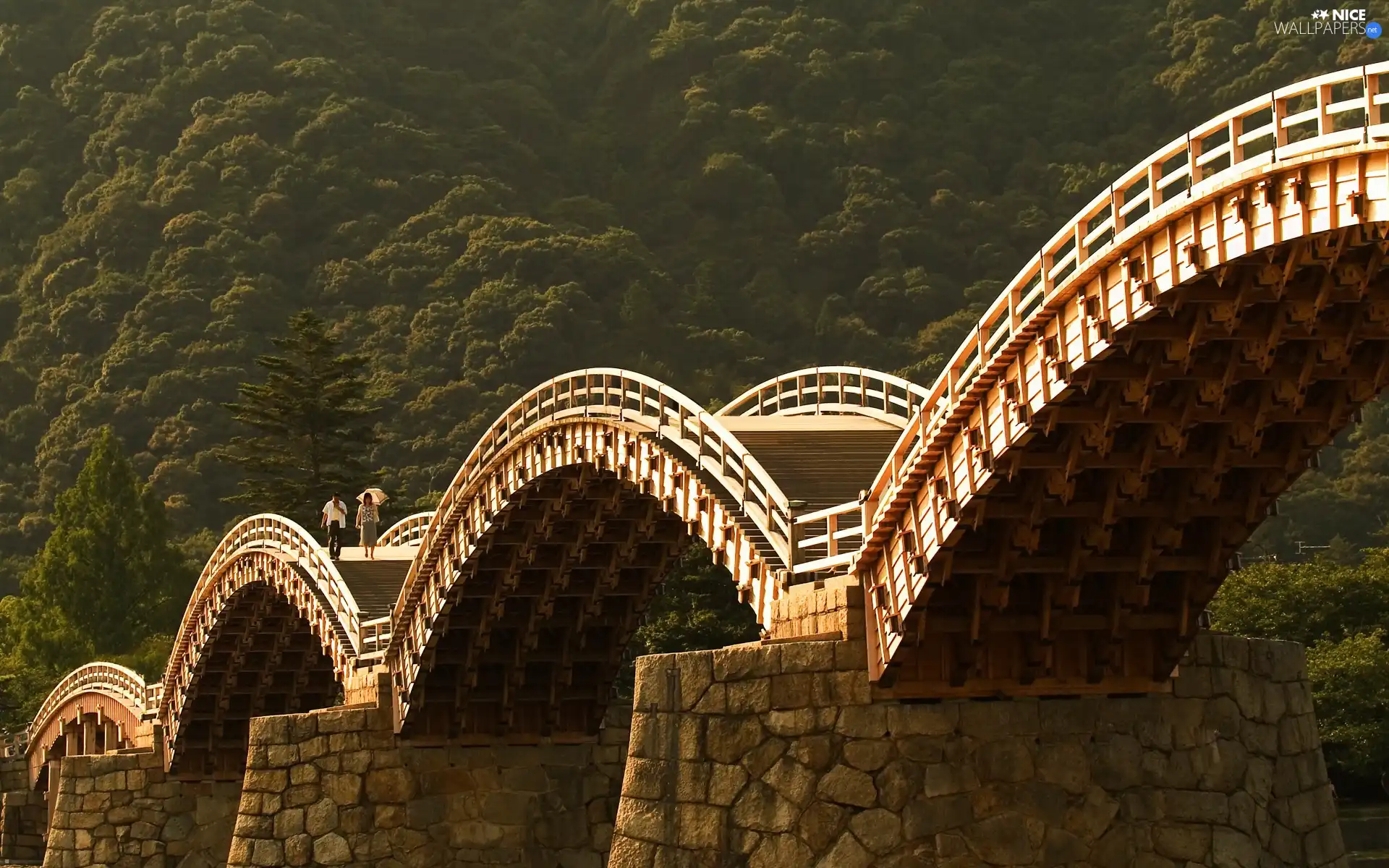 bridge, trees, viewes, People