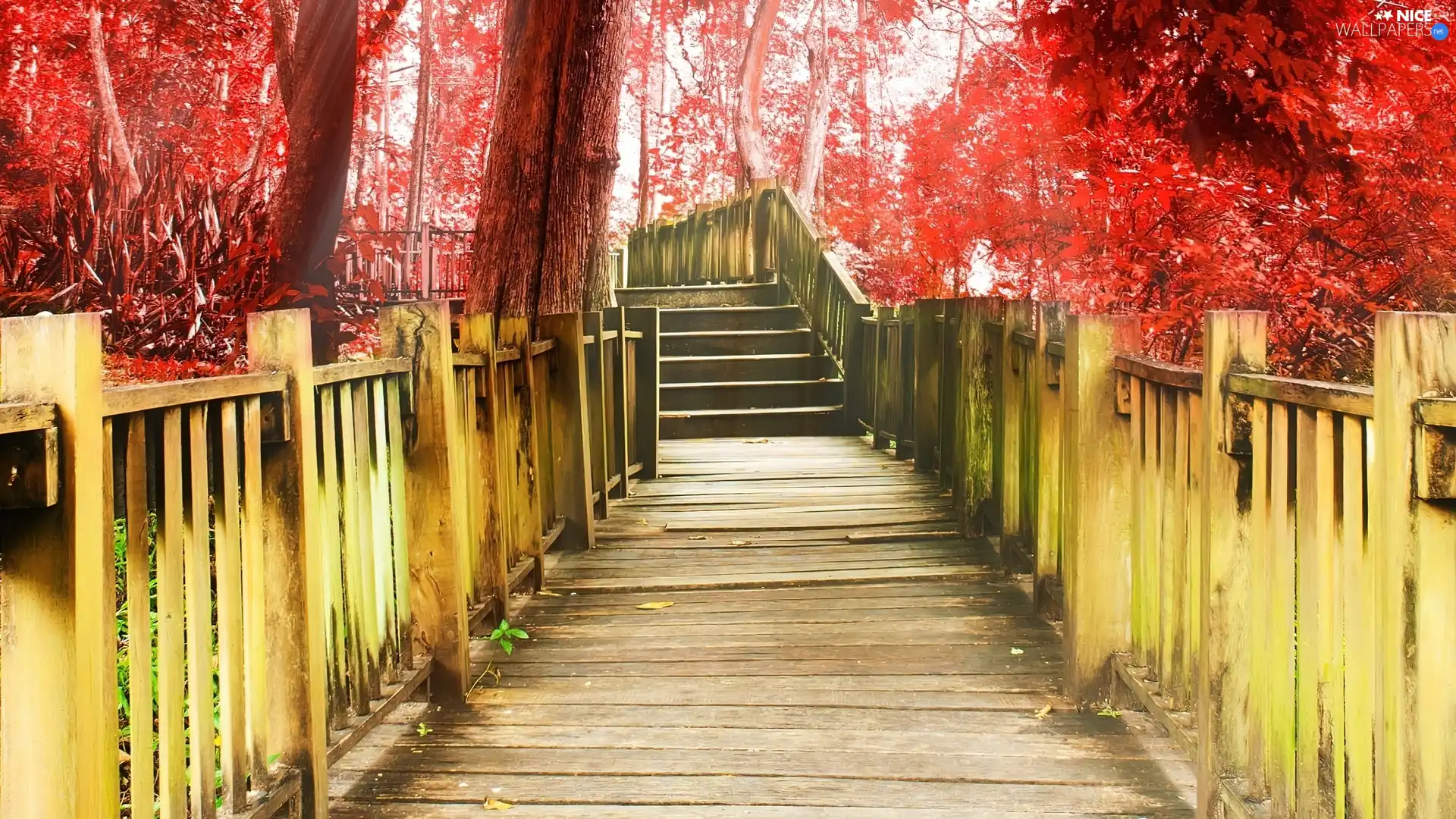 bridge, trees, viewes, Red