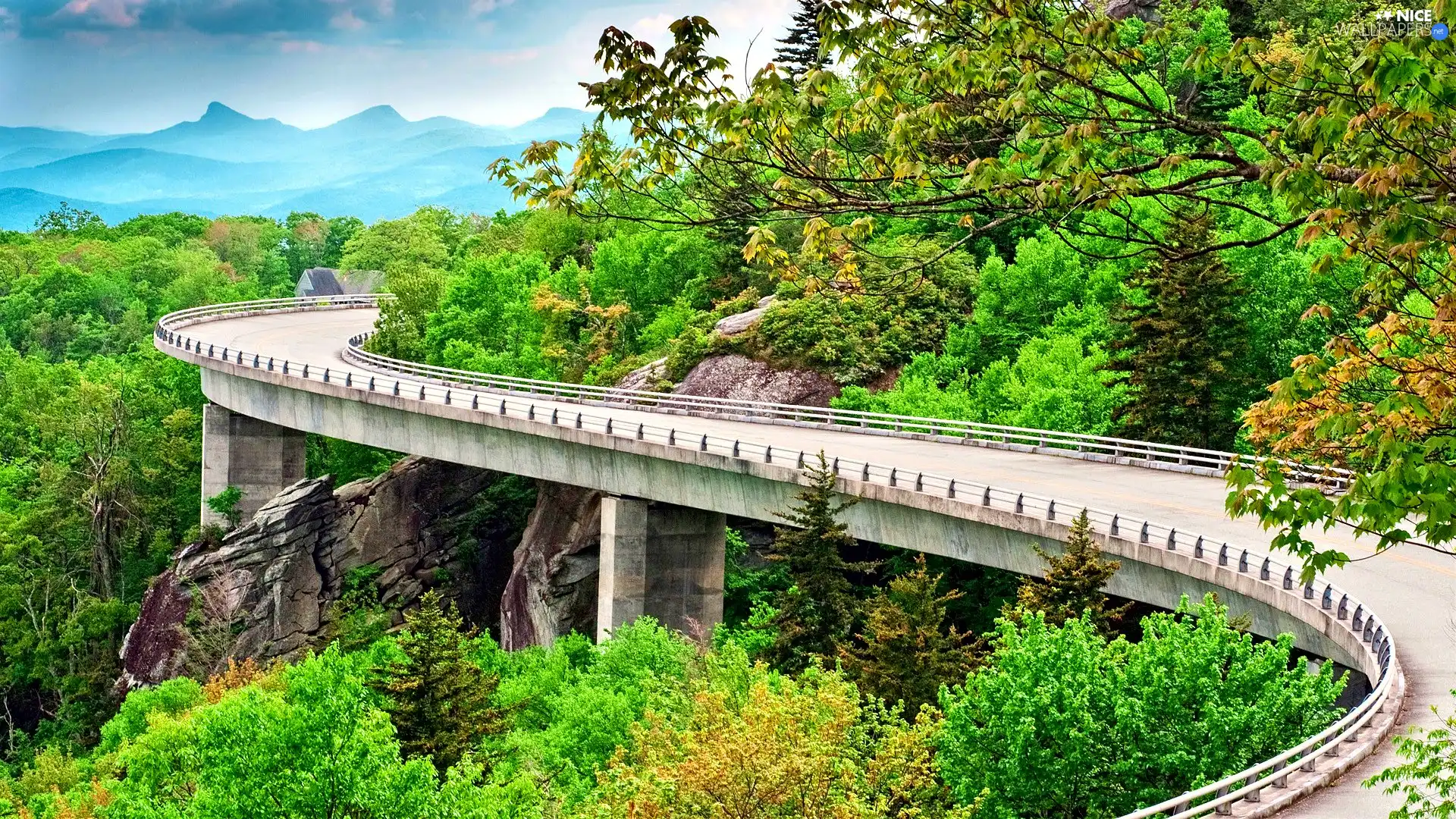 bridge, trees, viewes, Way