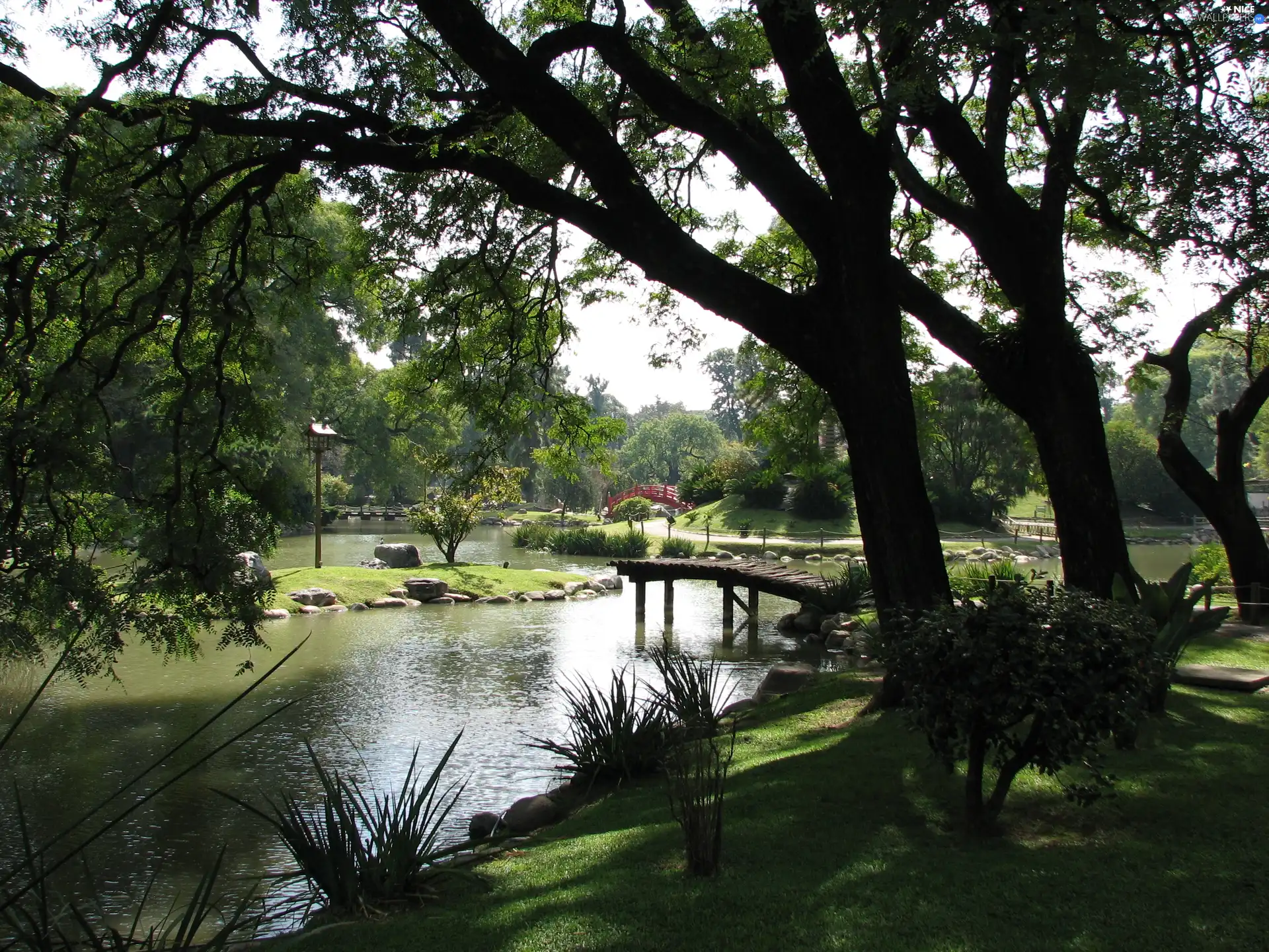 viewes, bridges, River, trees, Park