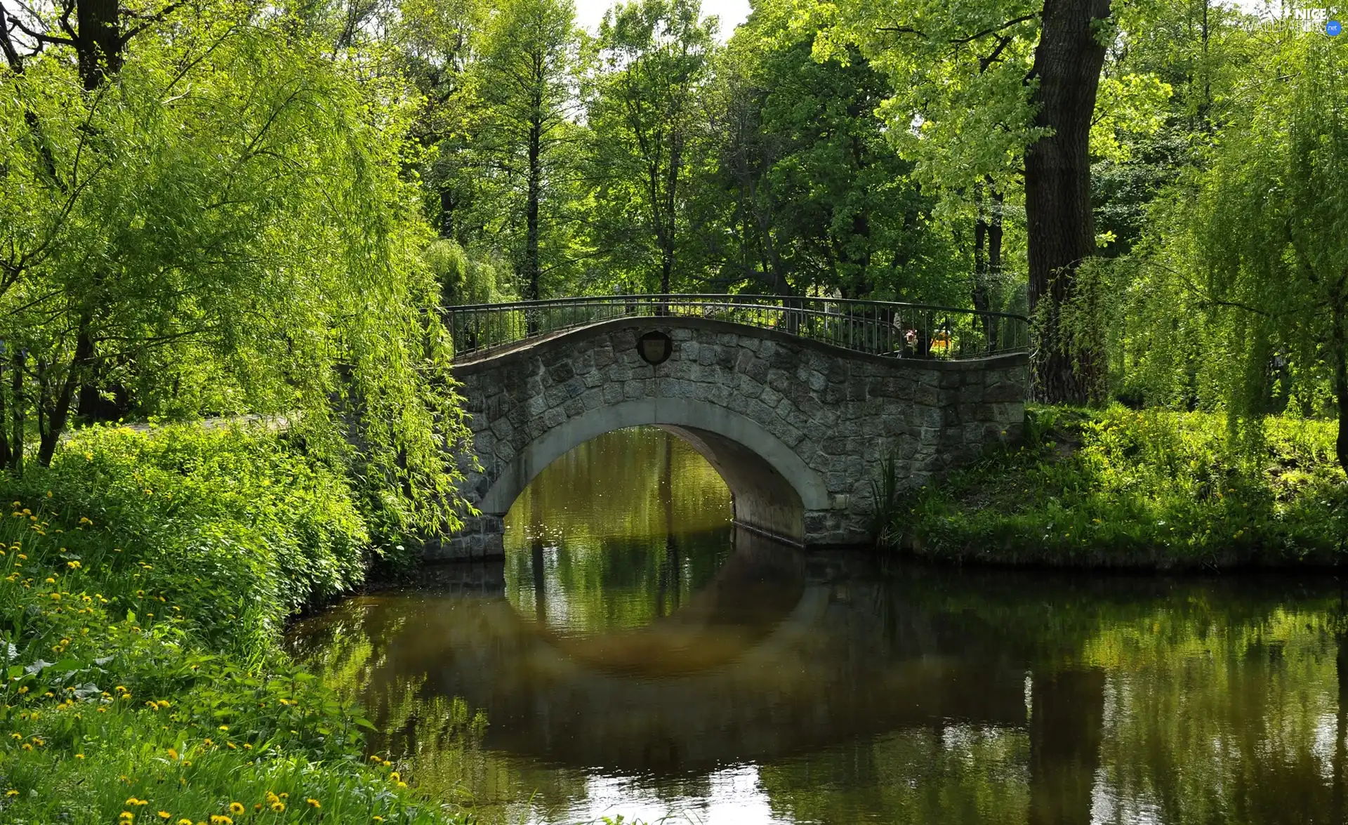 brook, trees, viewes, bridges