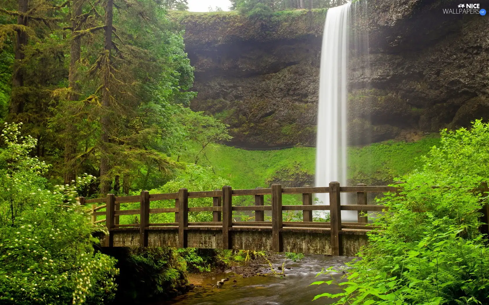 viewes, brook, bridges, trees, waterfall