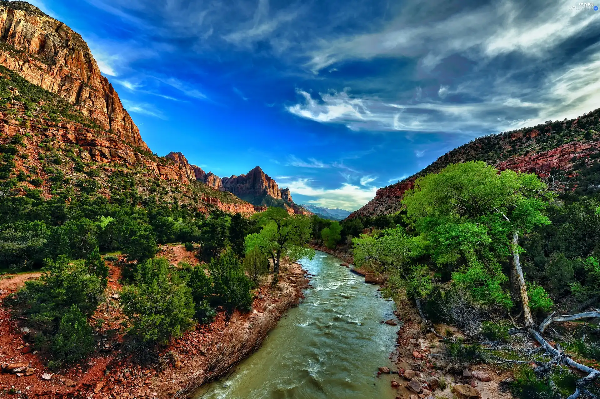 canyon, trees, viewes, River