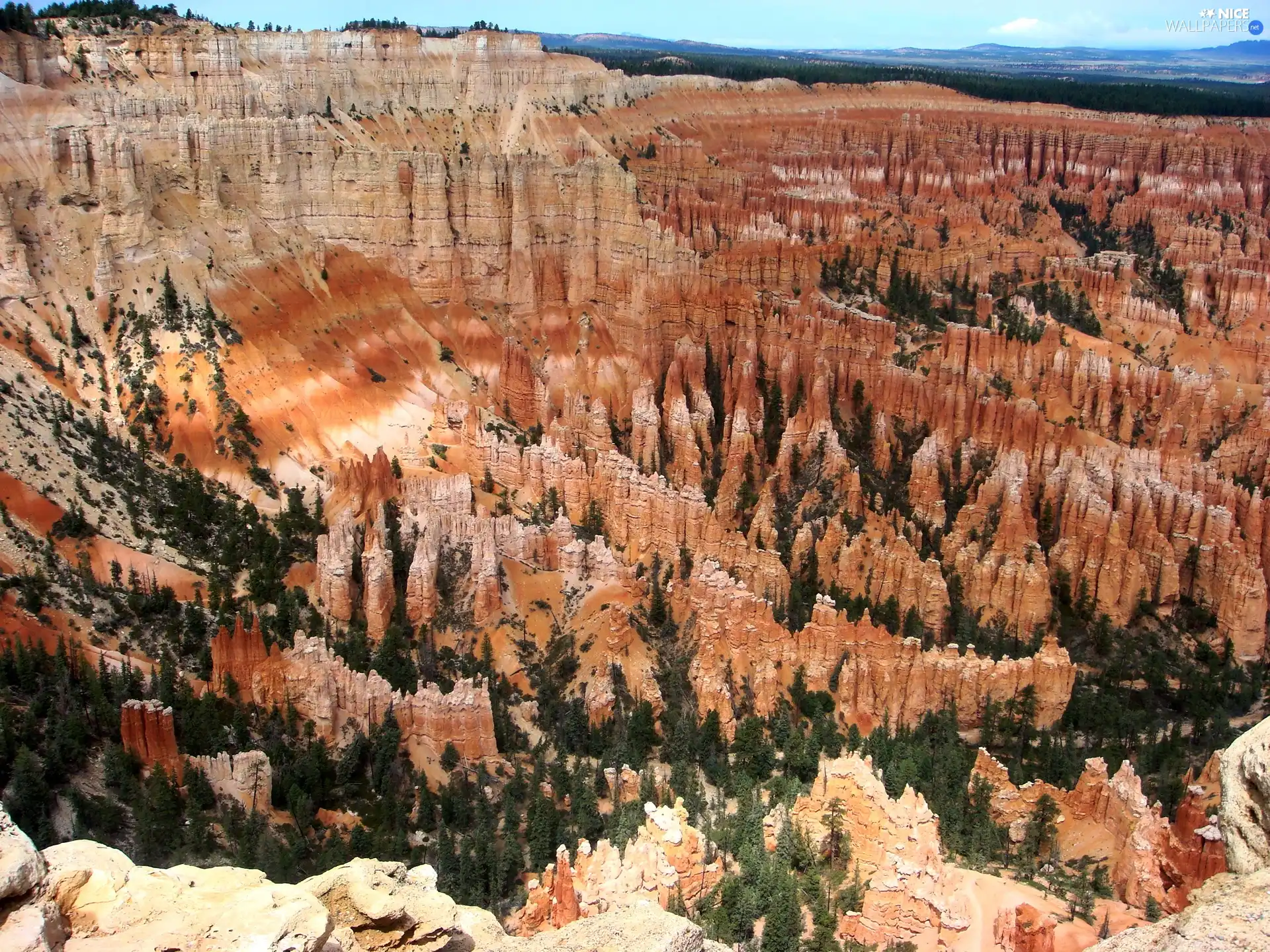 canyon, trees, viewes, rocks