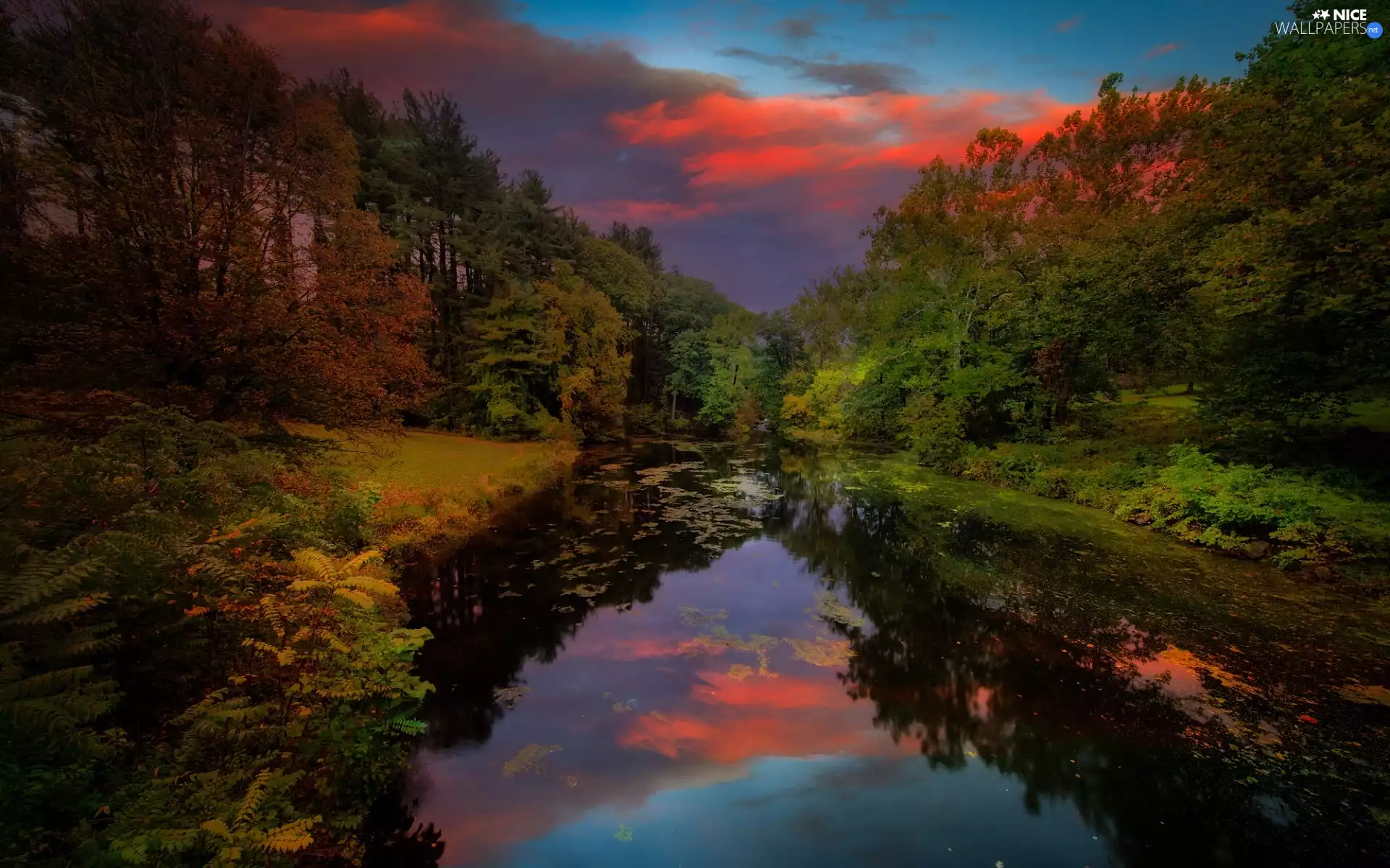 Great Sunsets, trees, viewes, Pond - car