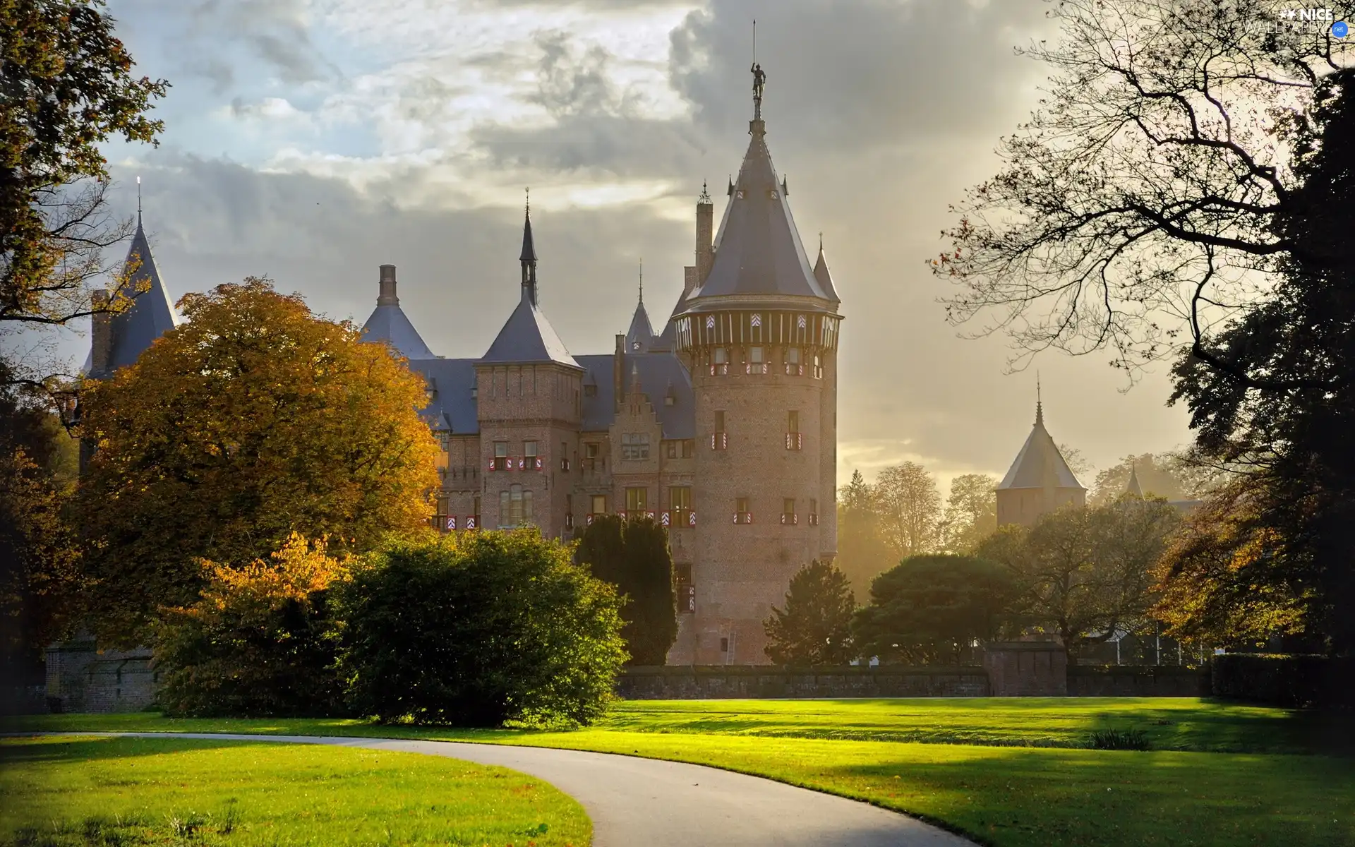 viewes, Castle, Lawn, trees, Way