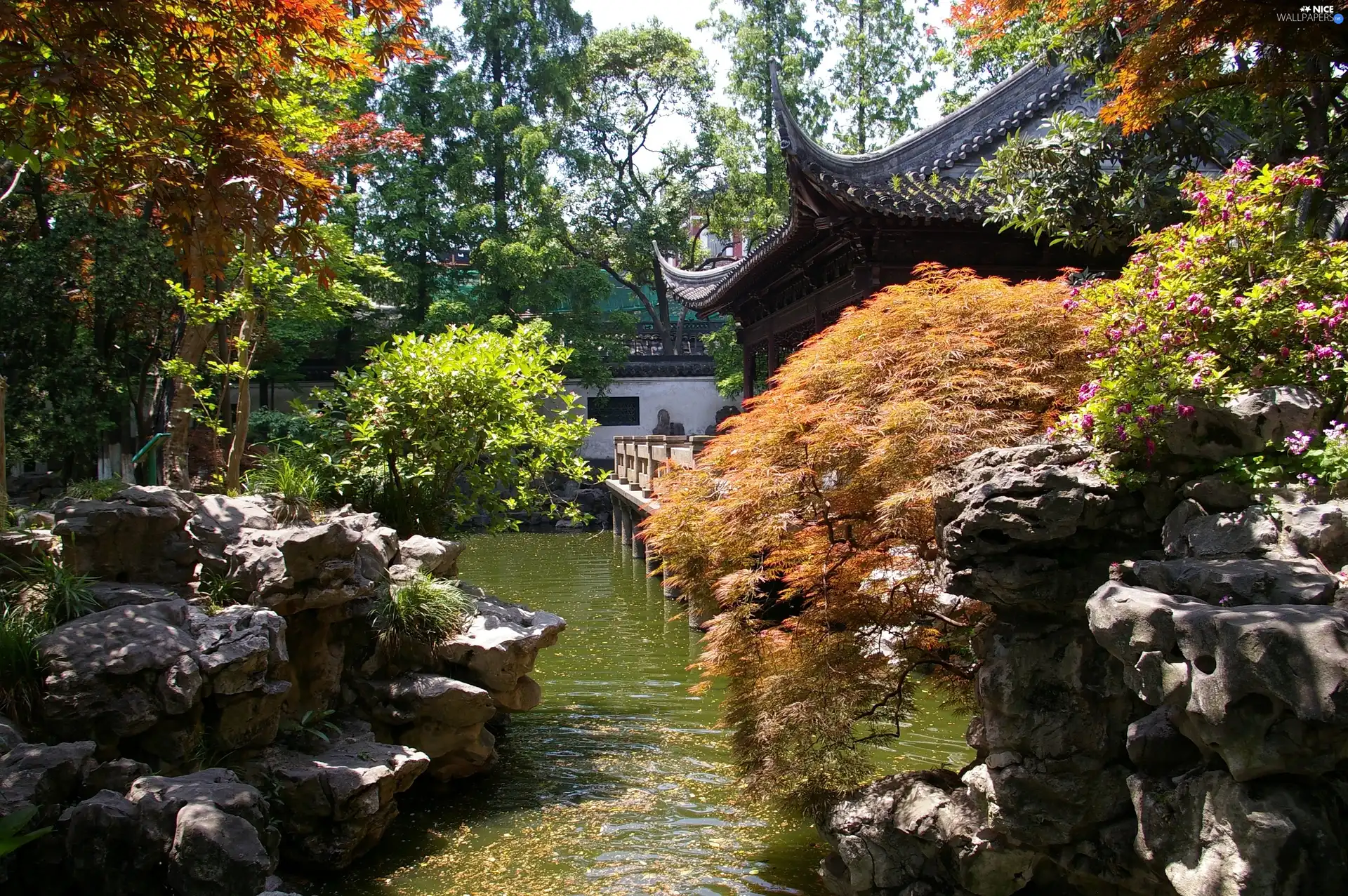 trees, Stones, Szanghai, water, Garden, viewes, China