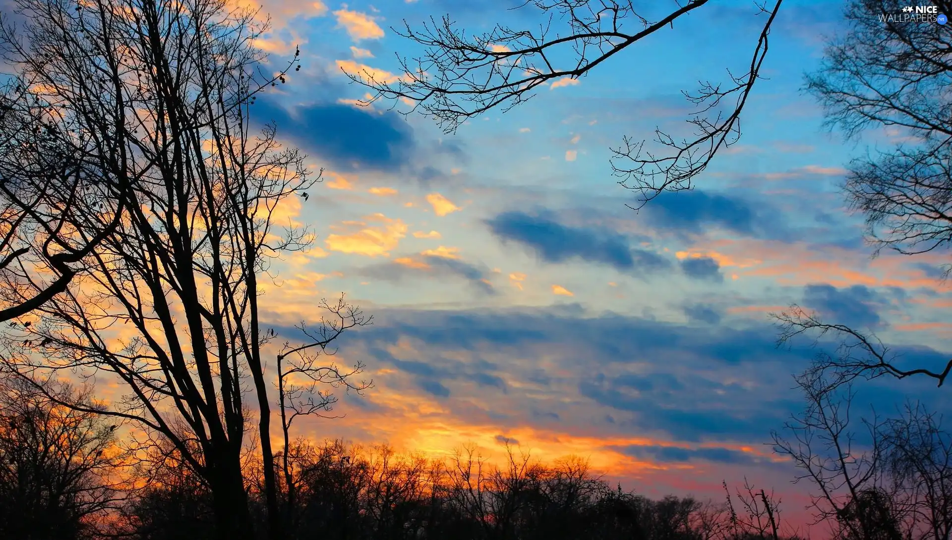 clouds, trees, viewes, Sky