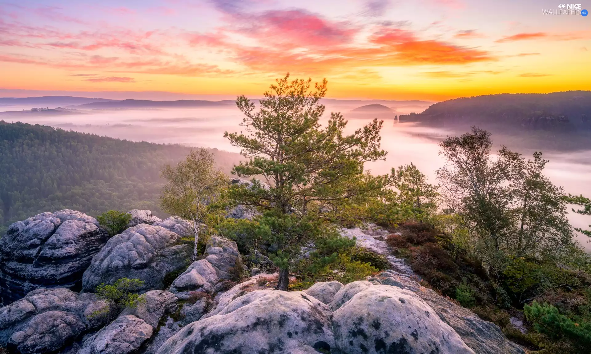 viewes, woods, Germany, rocks, Sunrise, trees, Děčínská vrchovina, Fog
