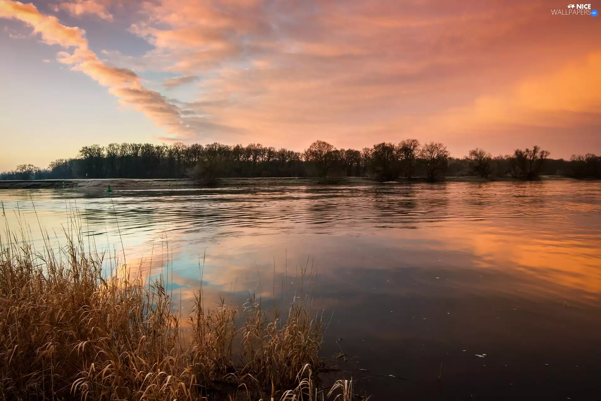 Sunrise, Germany, trees, viewes, River Elbe