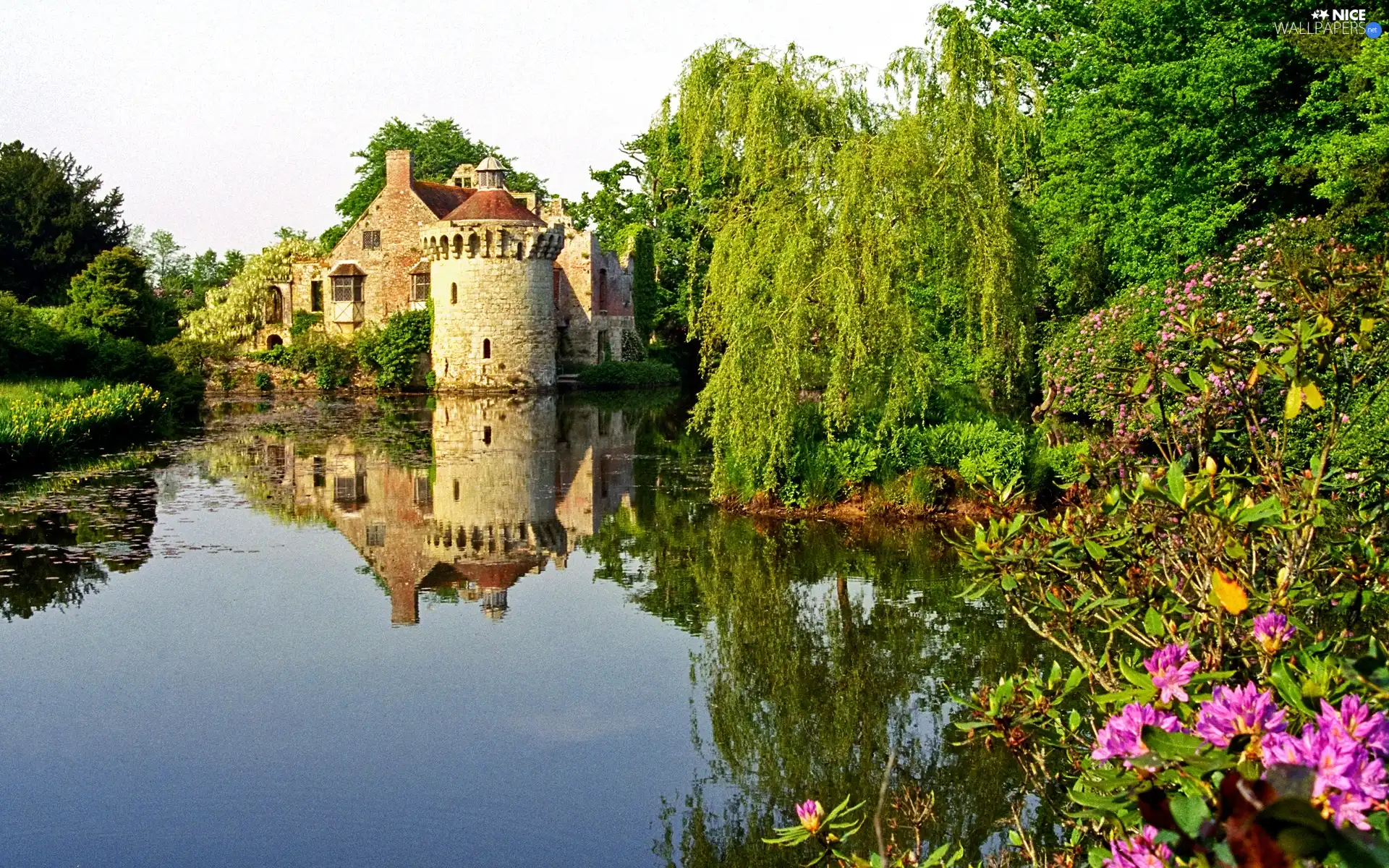 trees, lake, Kent, Flowers, Castle, viewes, England