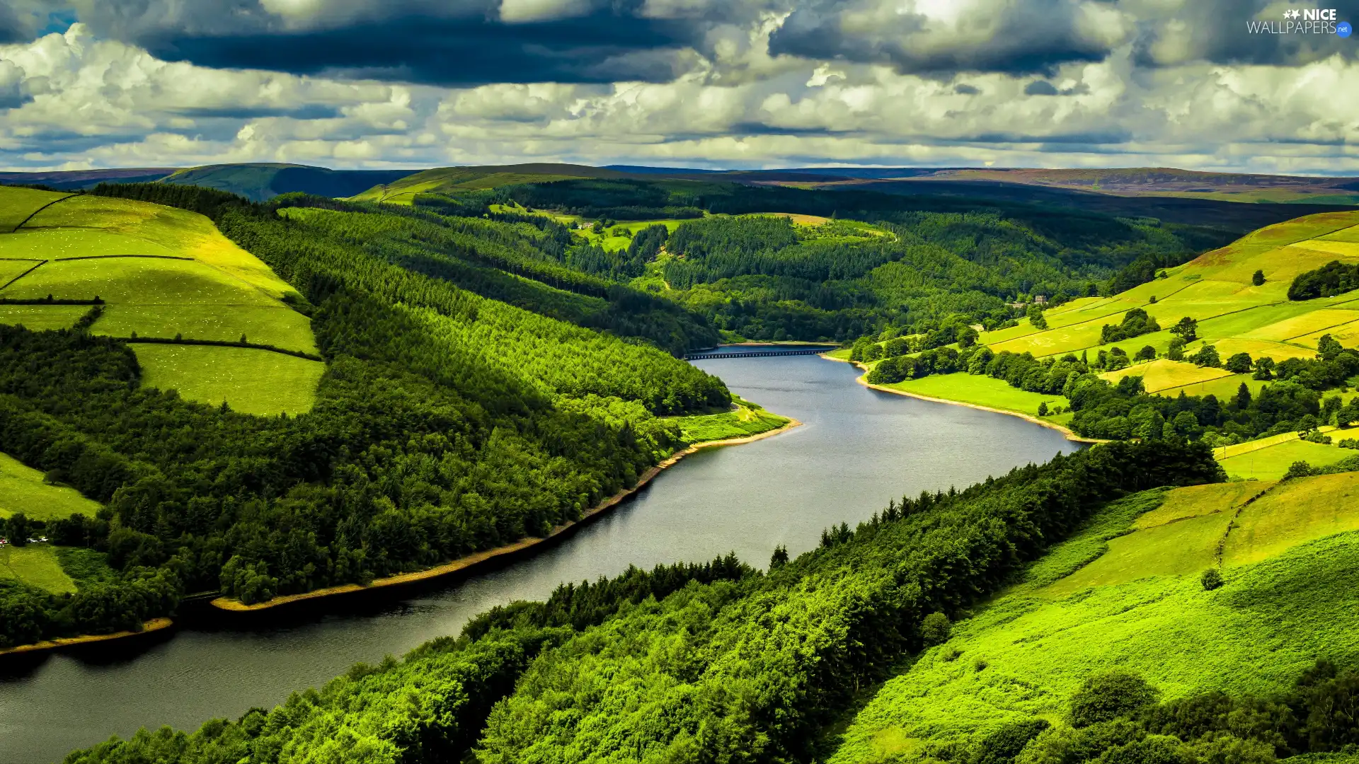 viewes, woods, green ones, trees, River, field, The Hills