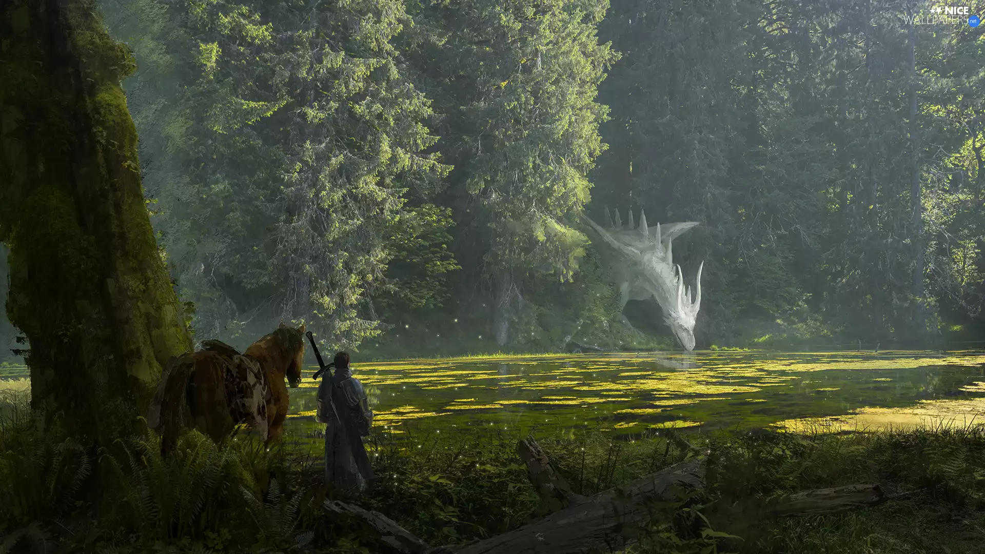 Dragon, trees, fighter, viewes, River, Horse, fantasy