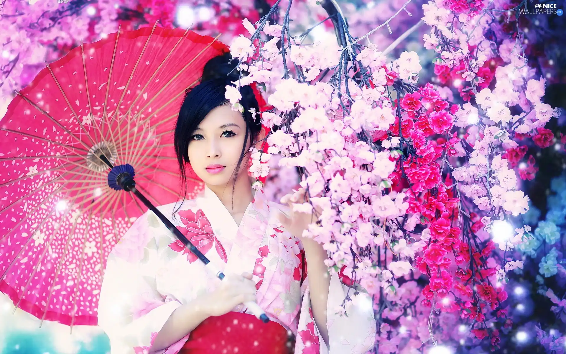 trees, Japanese, umbrella, flourishing, Women, viewes, Spring