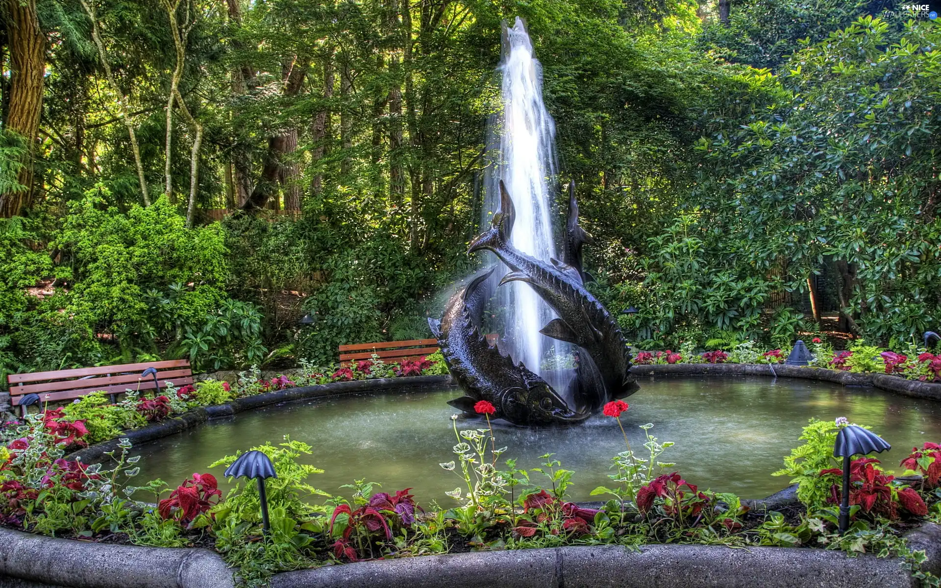 viewes, Flowers, Garden, trees, fountain