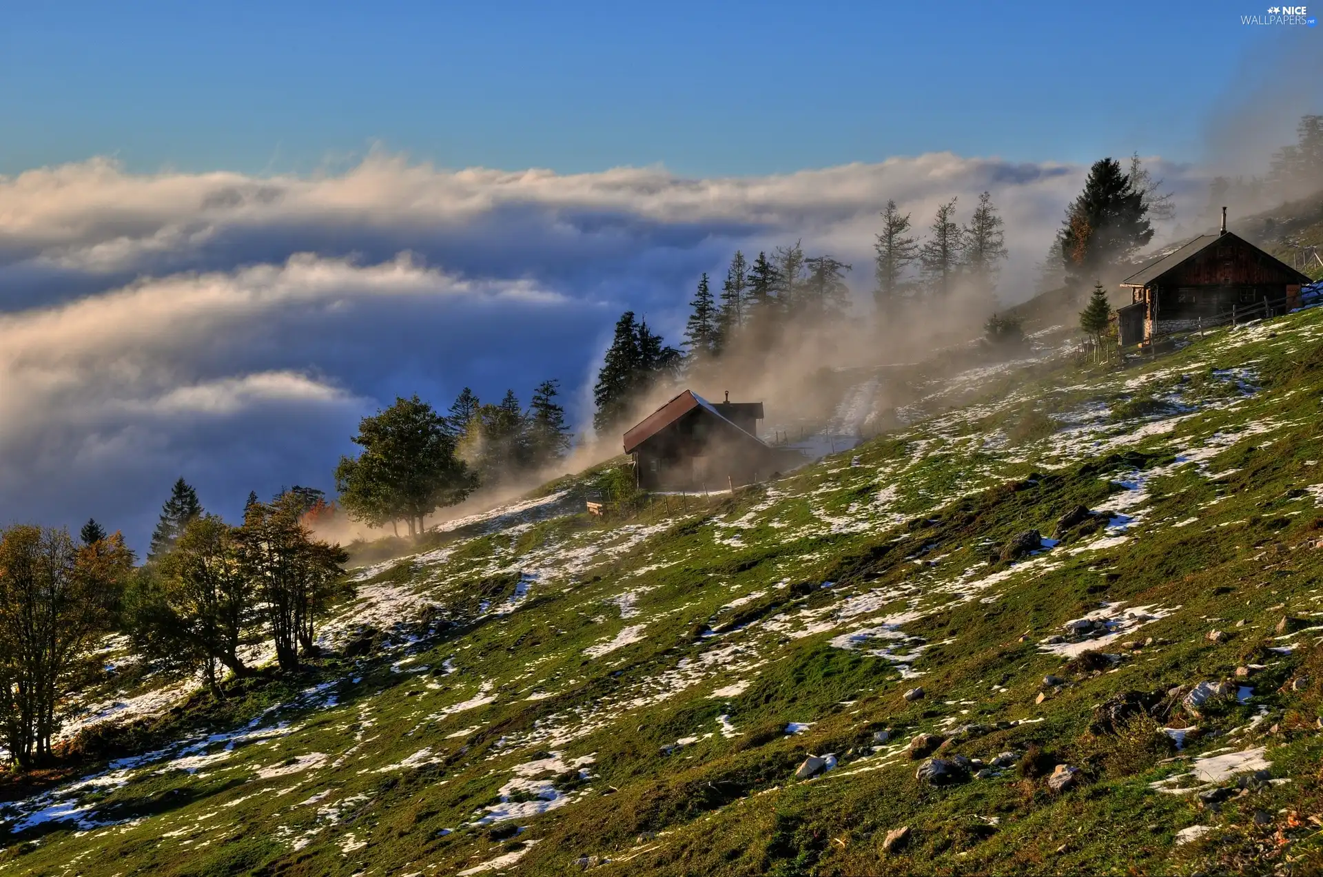 viewes, Fog, Houses, trees, Mountains