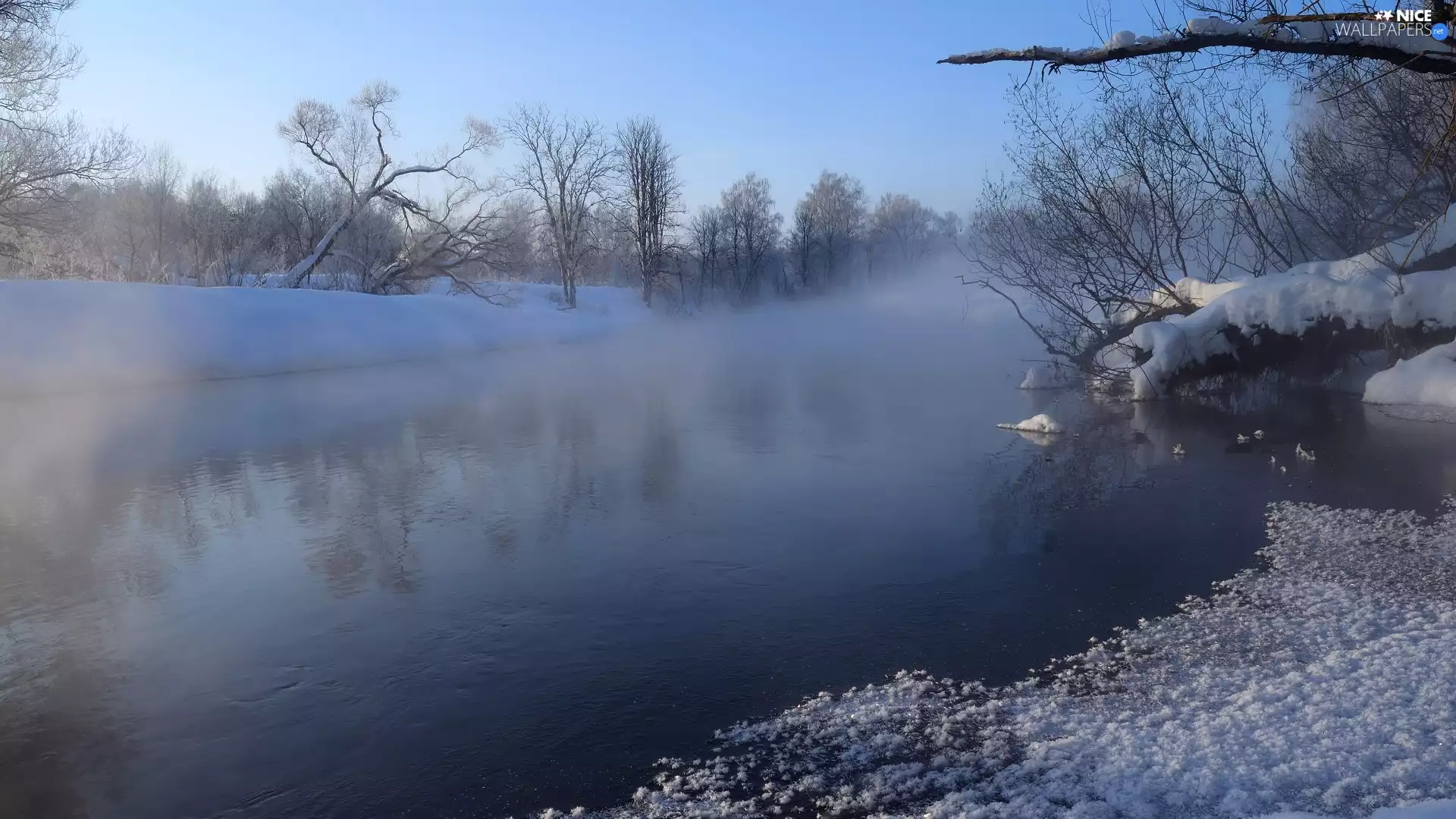 trees, viewes, Fog, winter, River