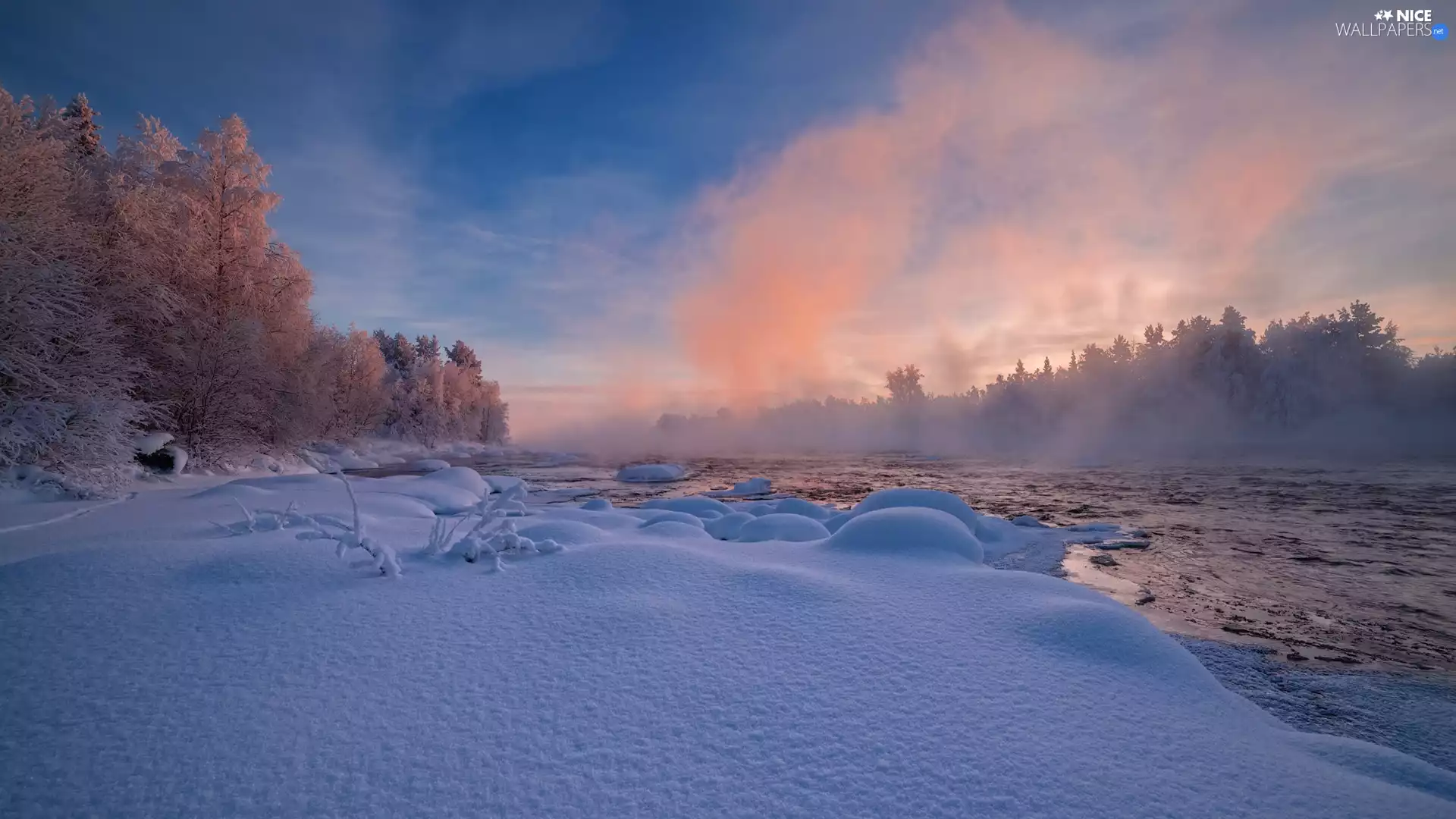 trees, viewes, Fog, River, winter