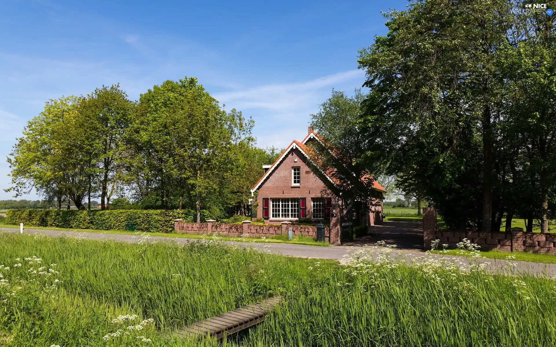 viewes, footbridge, Way, trees, Home