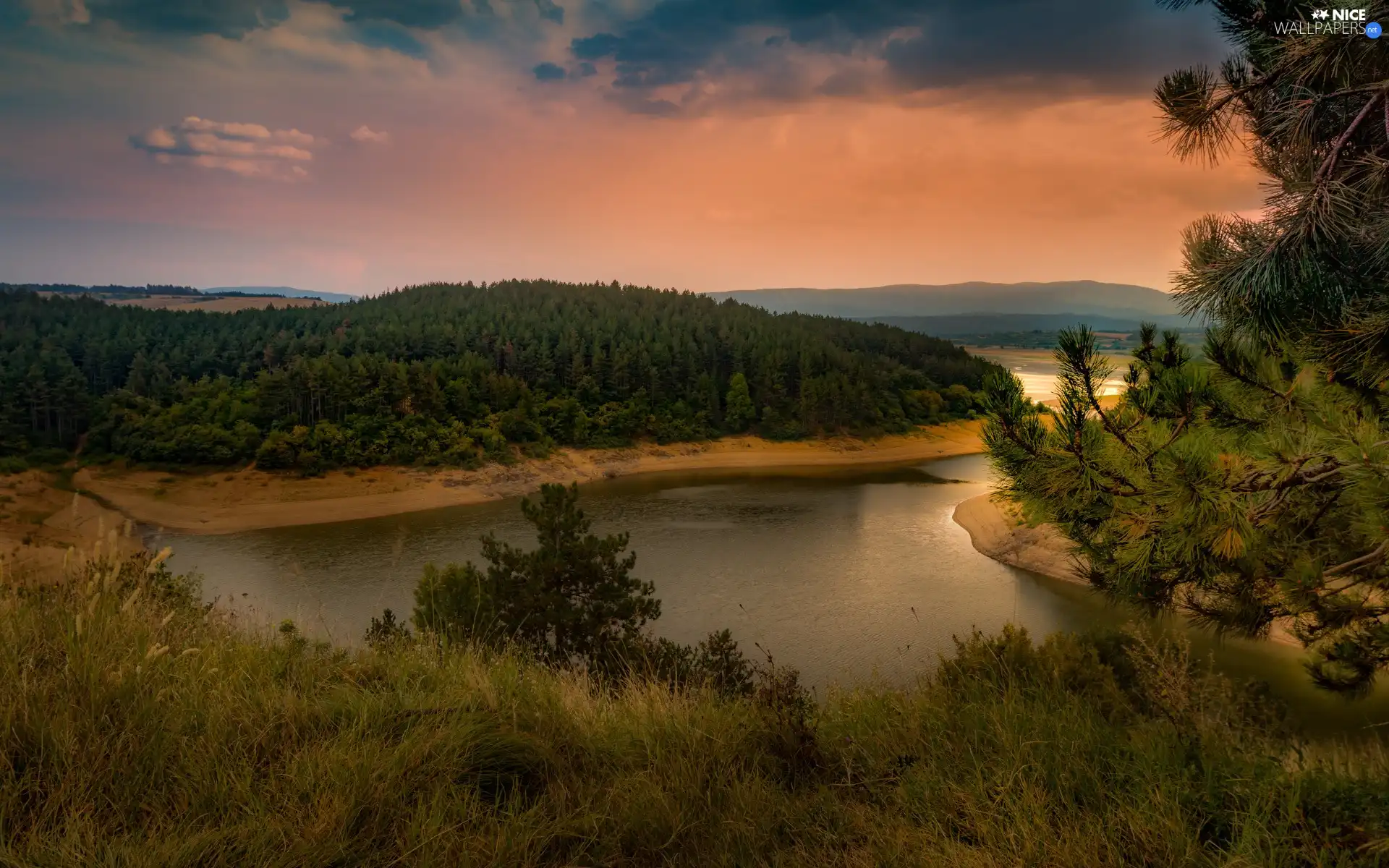 viewes, lake, clouds, grass, evening, trees, forest, Great Sunsets