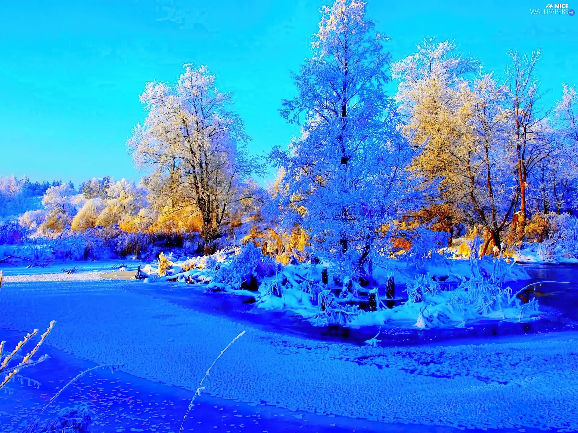 frozen, trees, viewes, lake