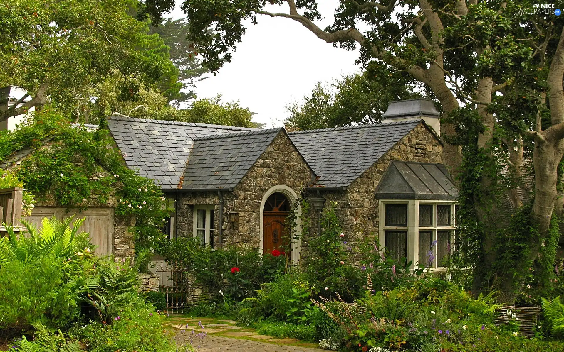 viewes, garden, Home, trees, country