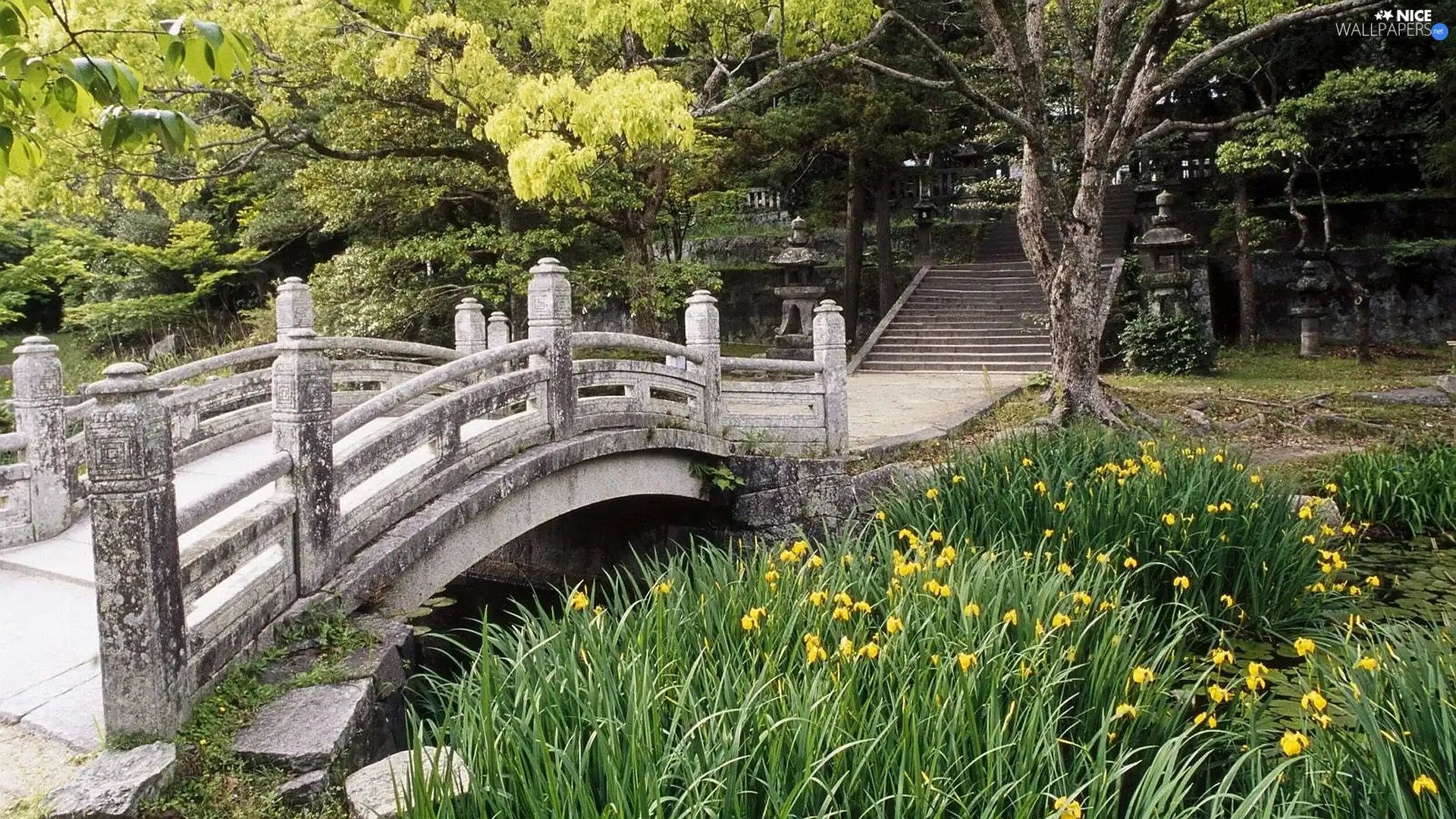 viewes, grass, Stairs, trees, bridge