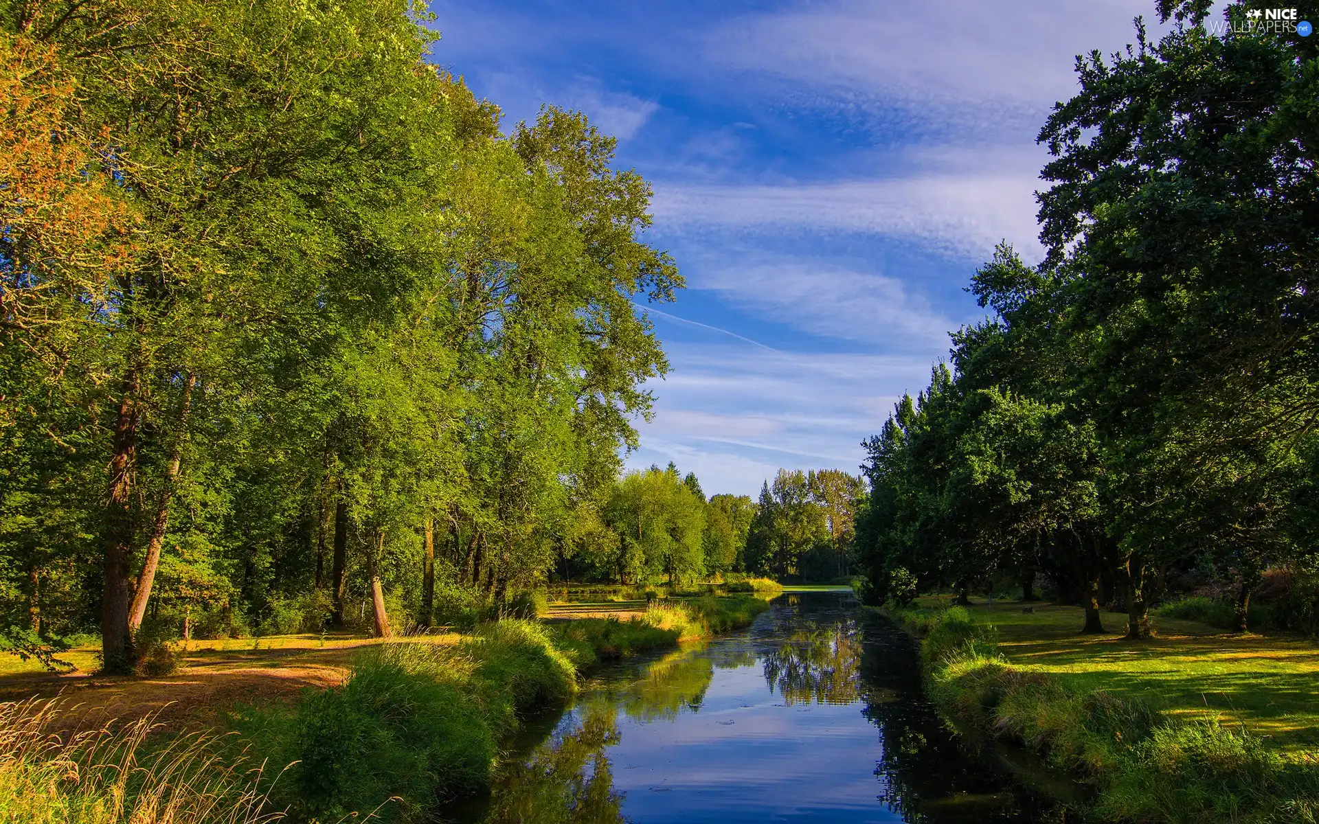 viewes, grass, River, trees, Park