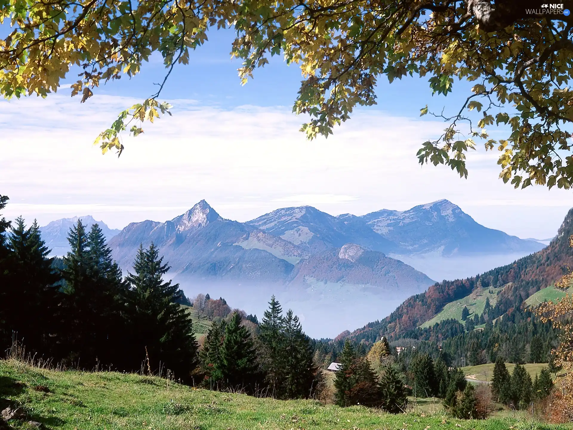 Mountains, Ibergeregg, viewes, grass, trees, Switzerland