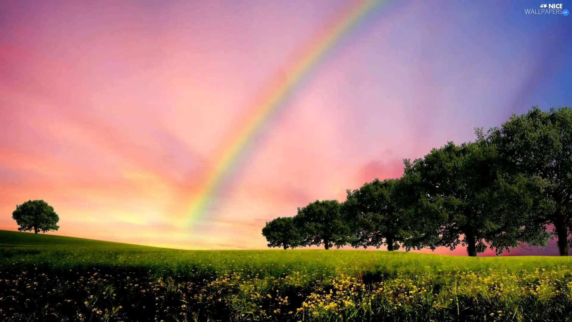 Meadow, trees, viewes, Great Rainbows