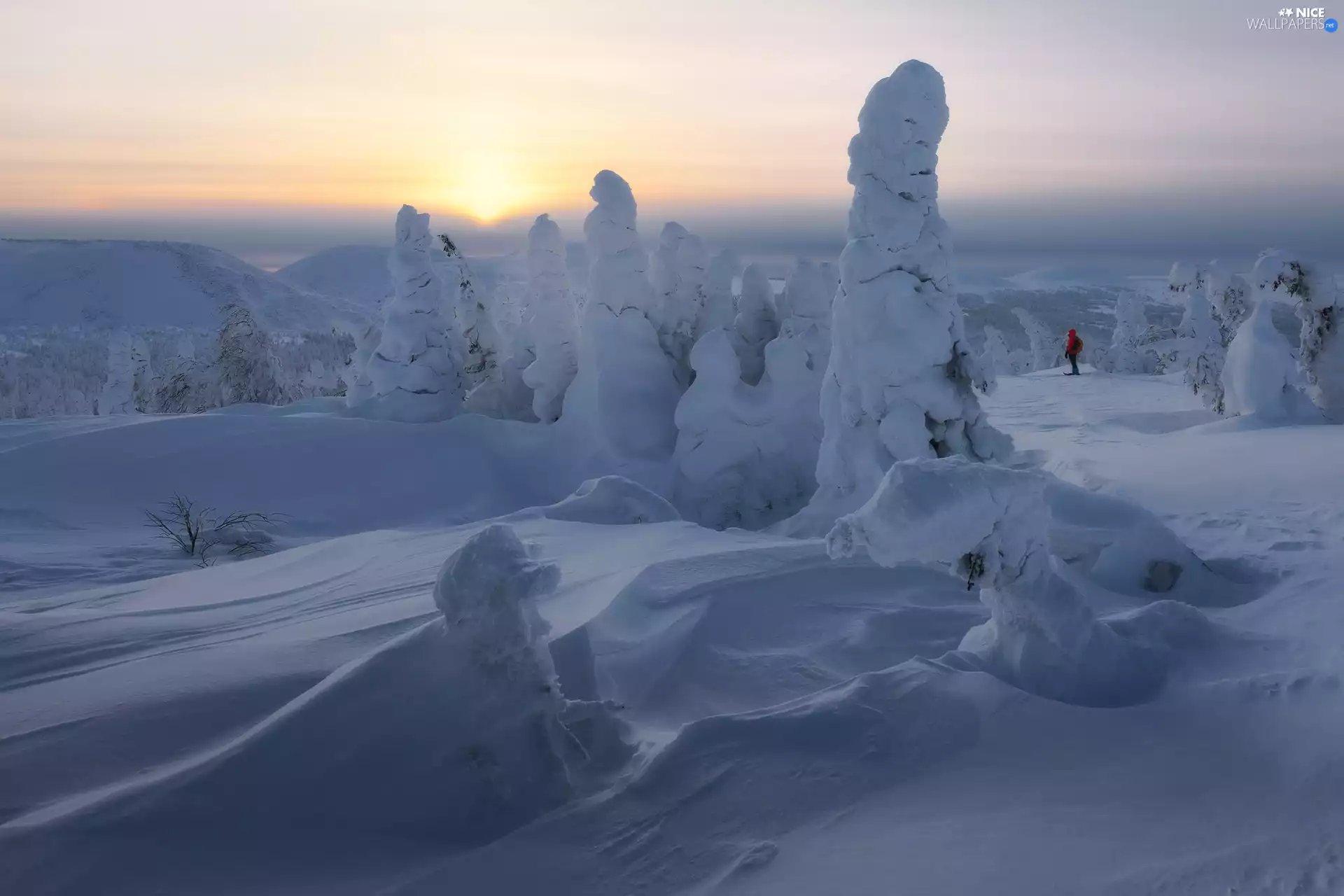 winter, Sunrise, trees, viewes, The Hills