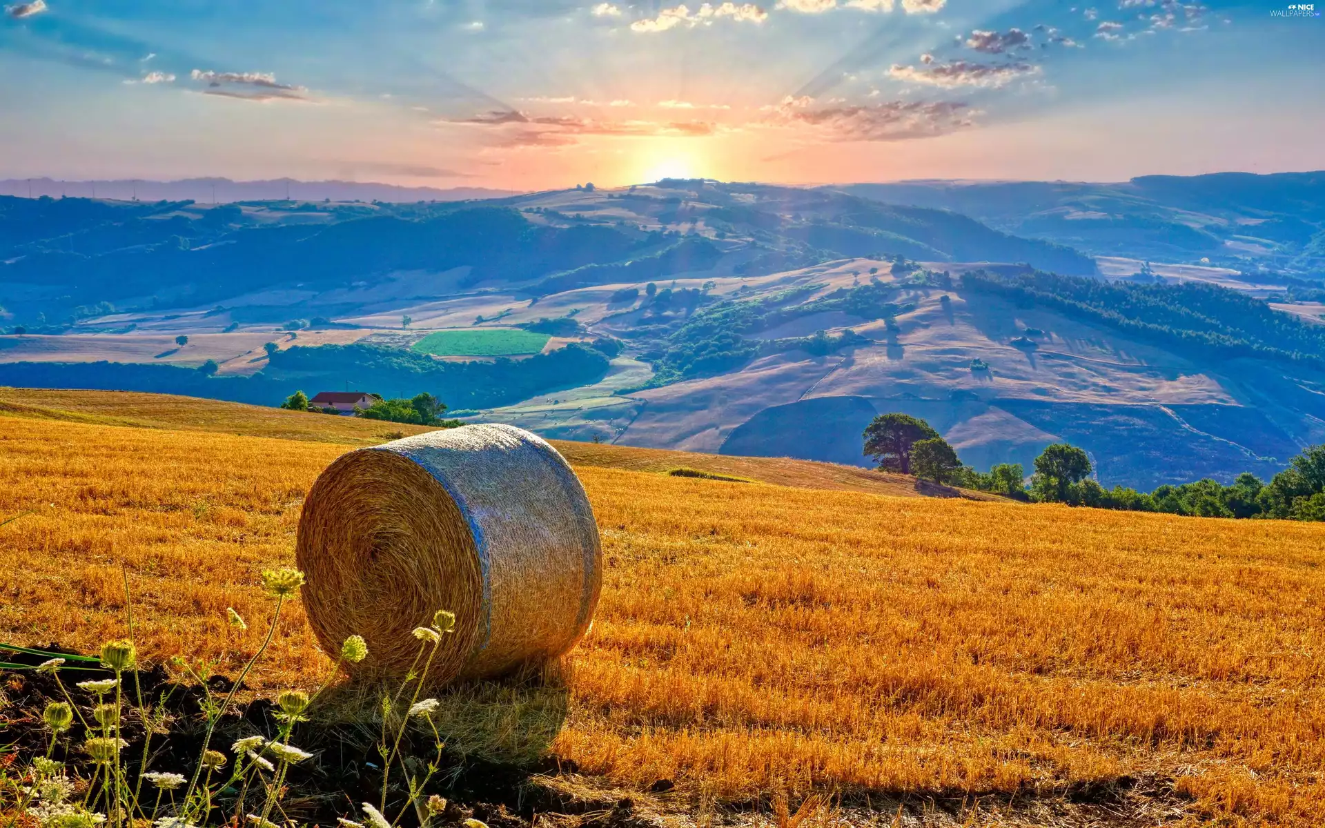 Bale, Hill, house, trees, summer, straw, Field, viewes
