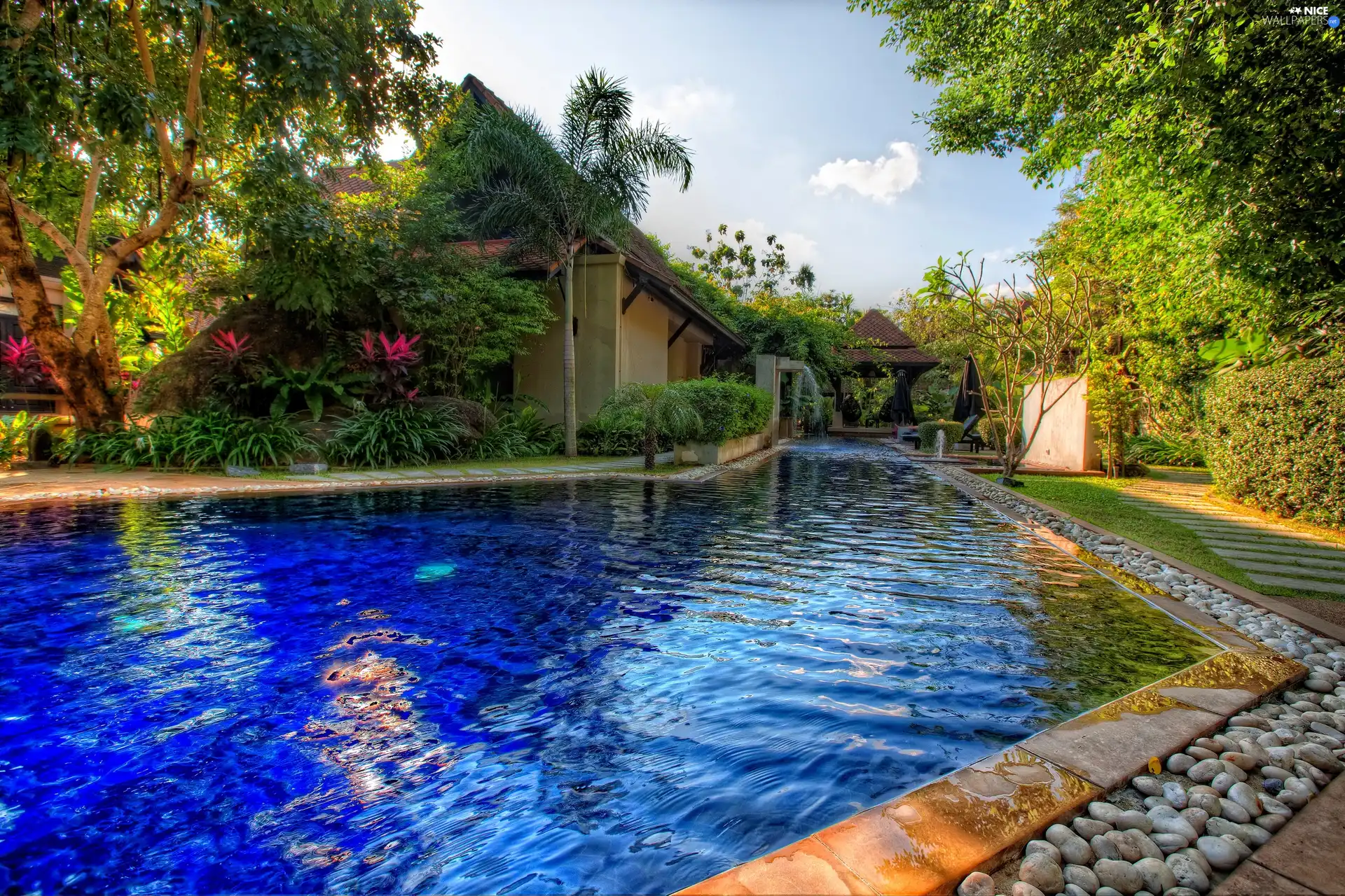 house, trees, viewes, Pool