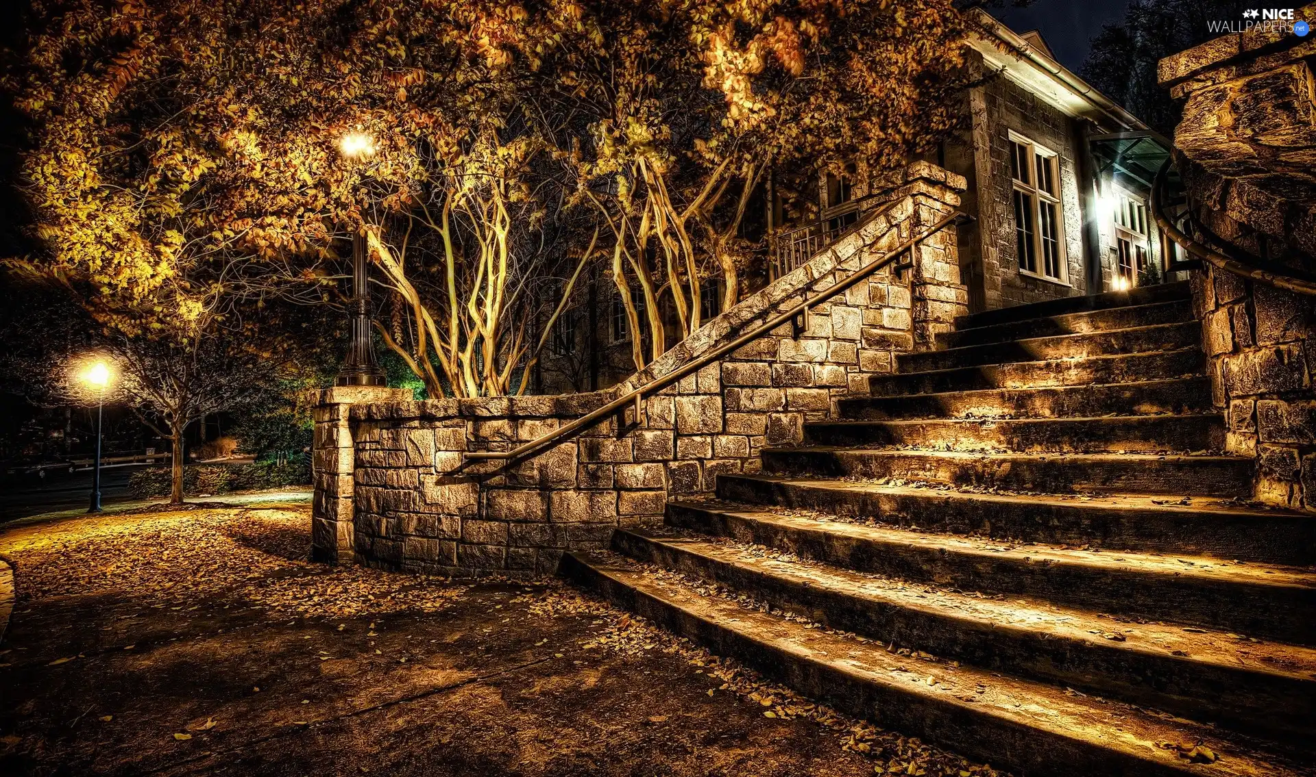 house, trees, viewes, Stairs