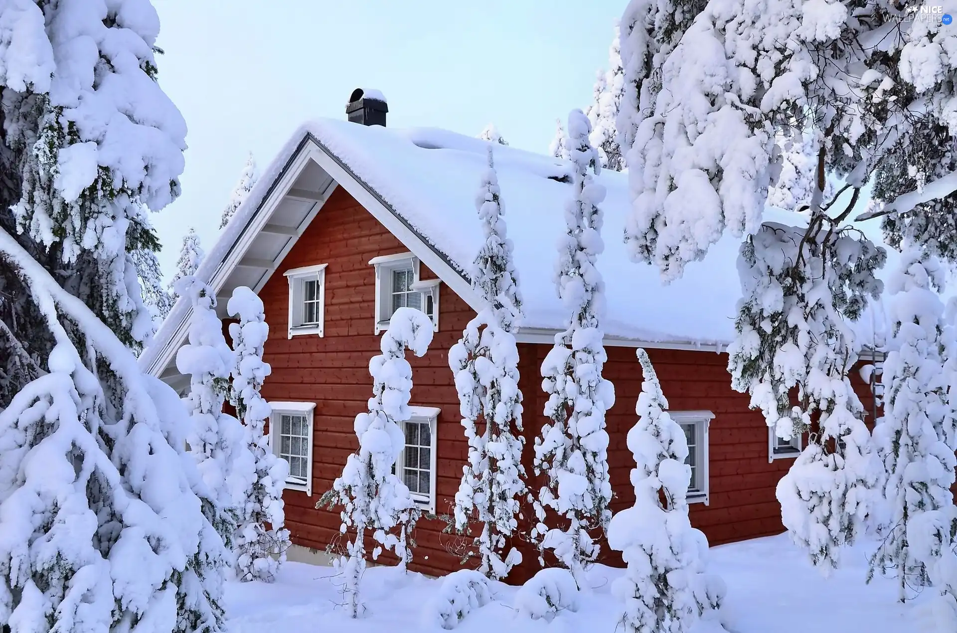 viewes, house, Snowy, trees, winter