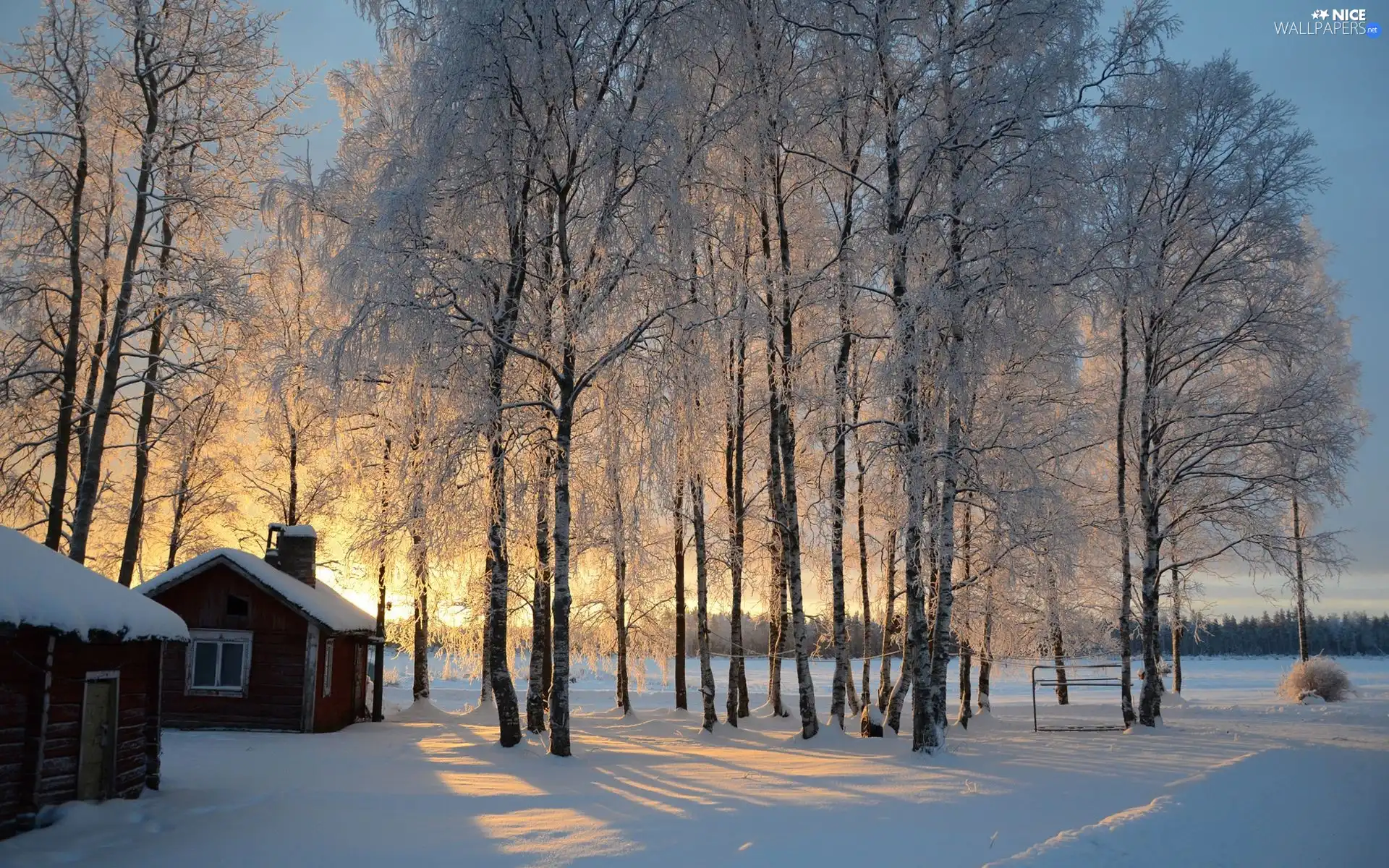 sun, trees, Houses, luminosity, Przebijające, field, viewes, winter, flash, ligh