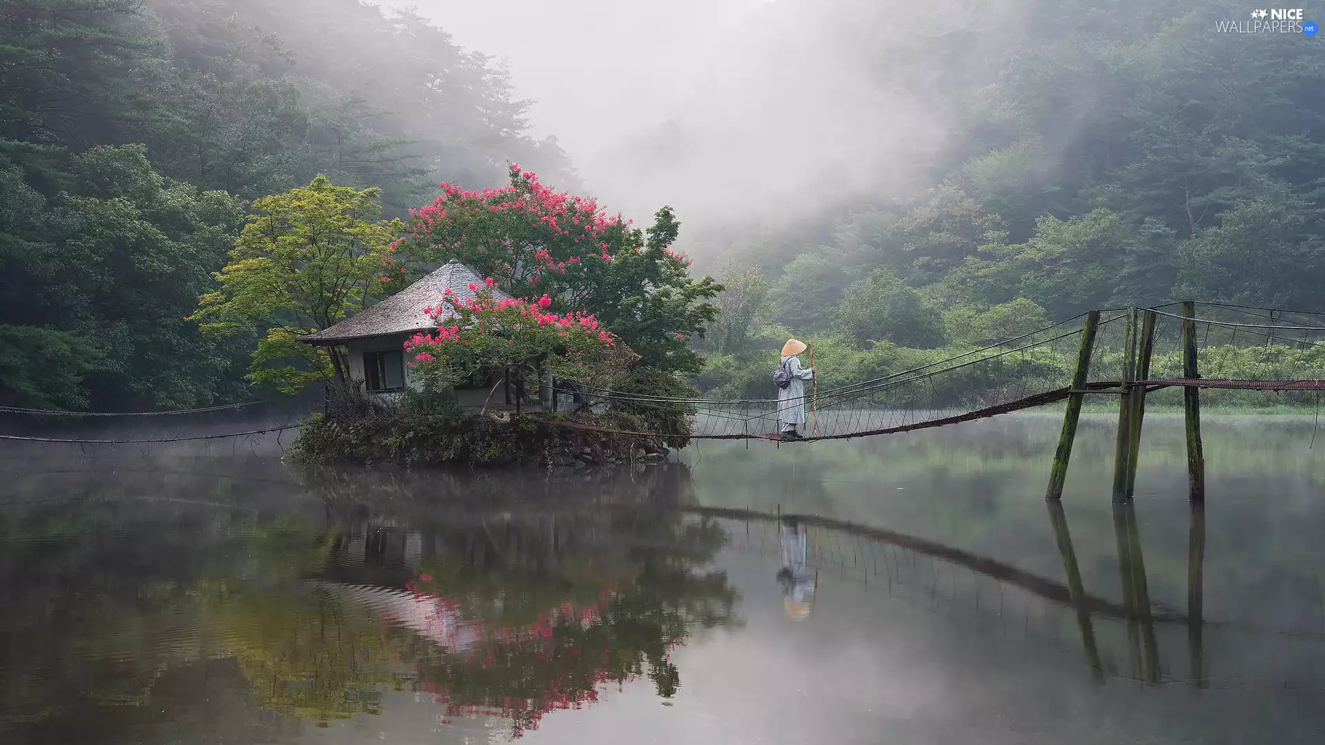 flourishing, Bush, Human, trees, bridges, Home, lake, viewes