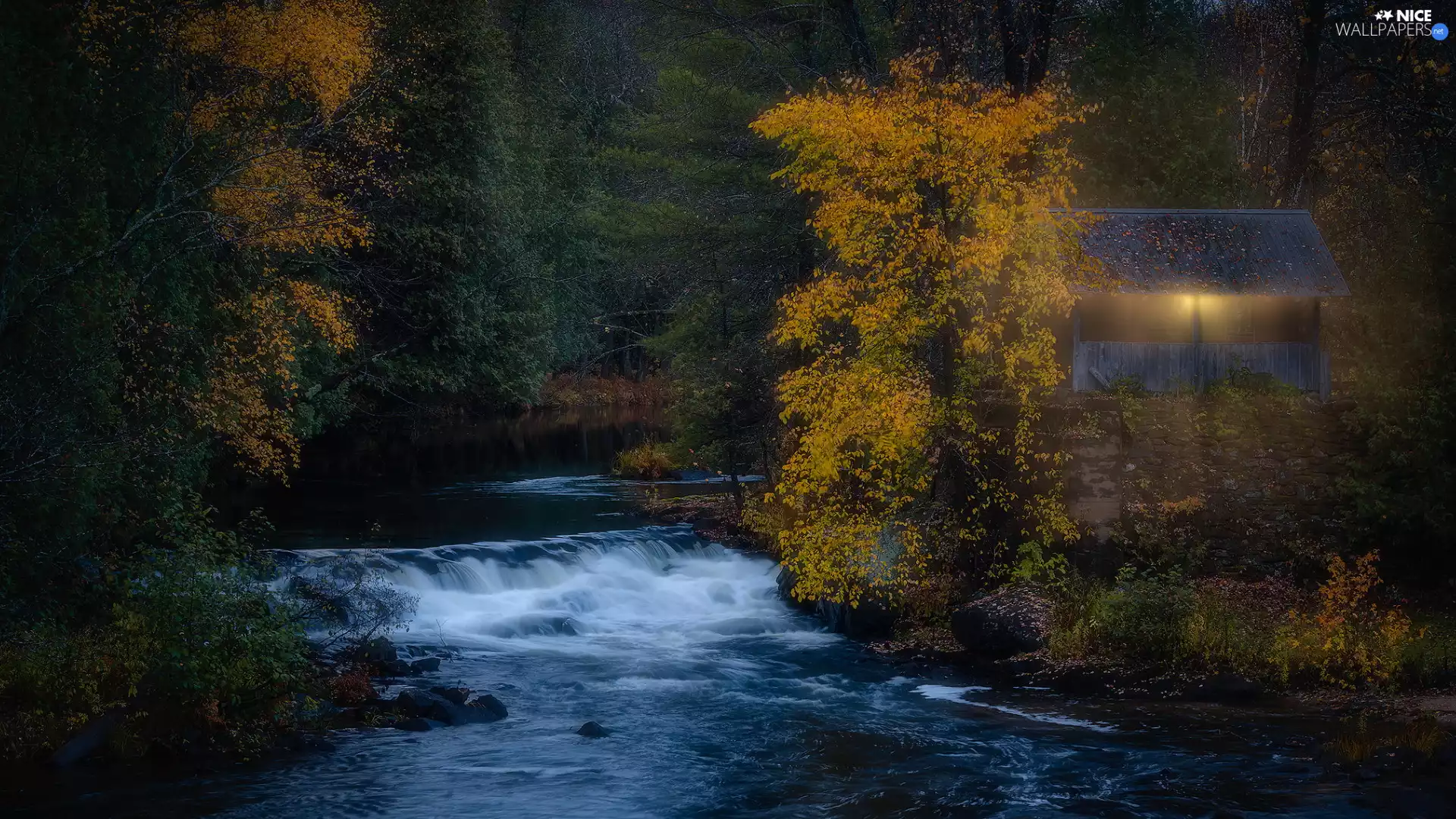 forest, trees, illuminated, viewes, autumn, River, arbour