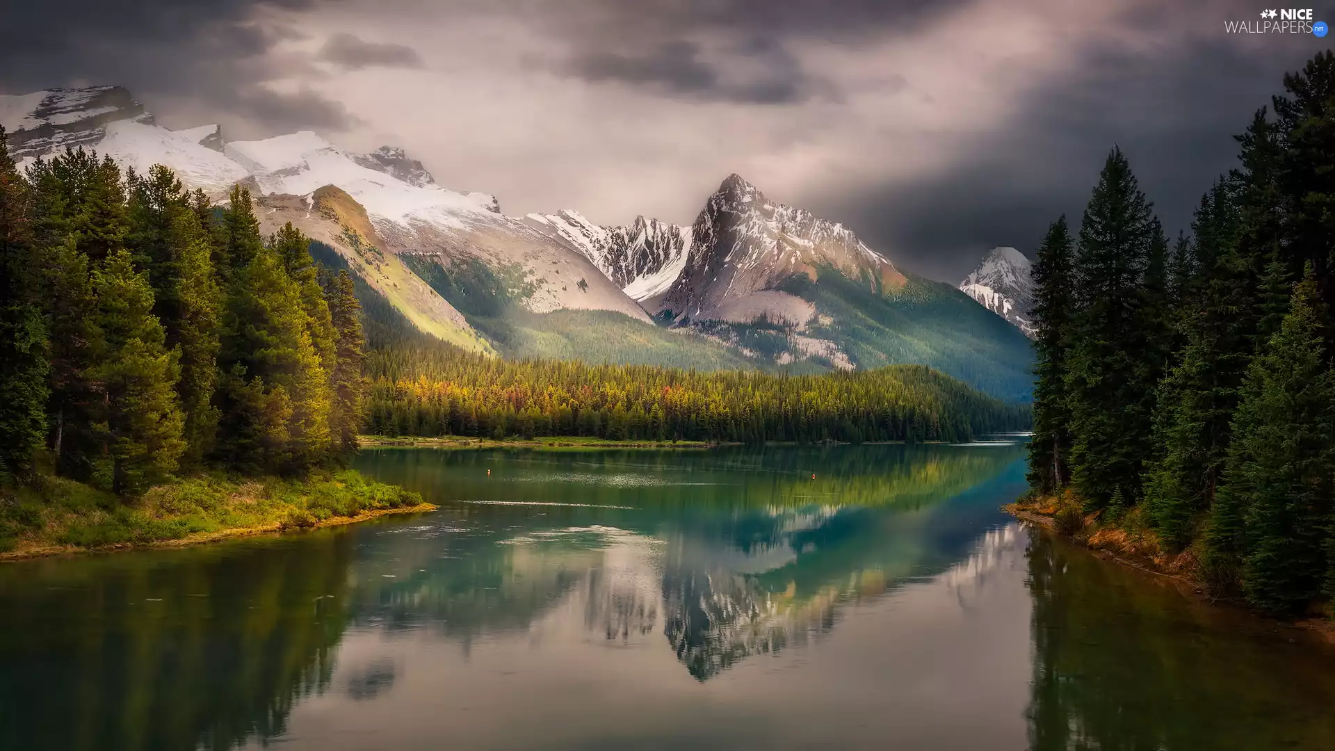 woods, trees, Canada, viewes, Province of Alberta, Maligne Lake, Jasper National Park, Mountains