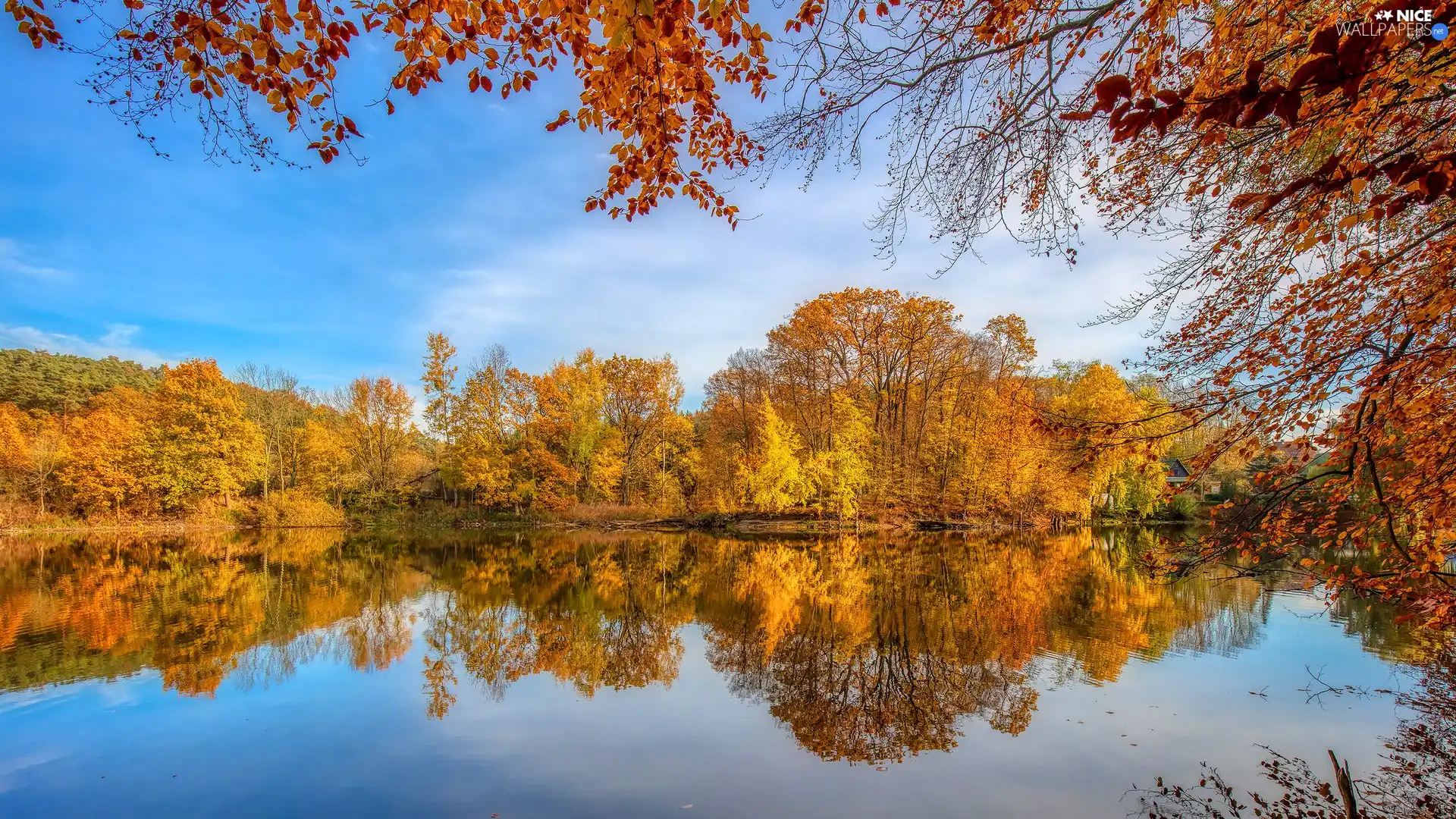 trees, viewes, lake, Yellowed, autumn