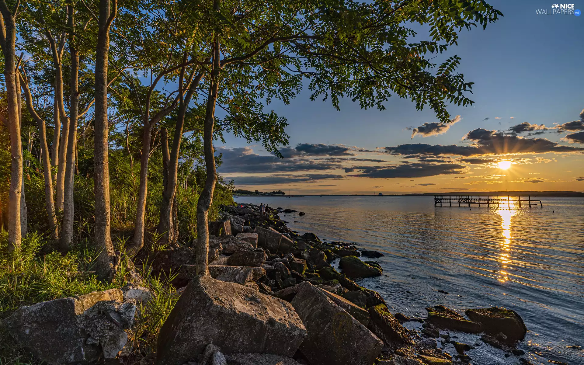 trees, viewes, lake, Stones, Sunrise