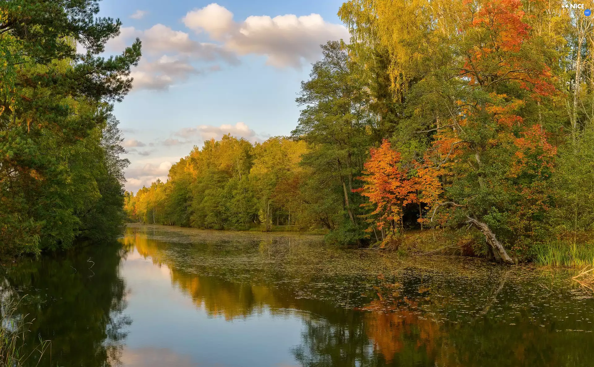 clouds, autumn, trees, viewes, reflection, lake