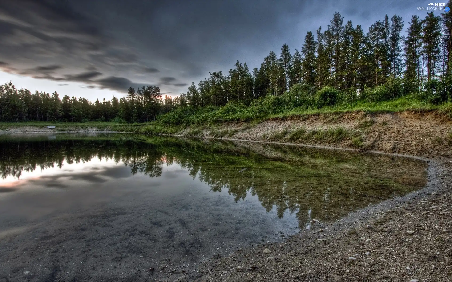 lake, trees, viewes, coast