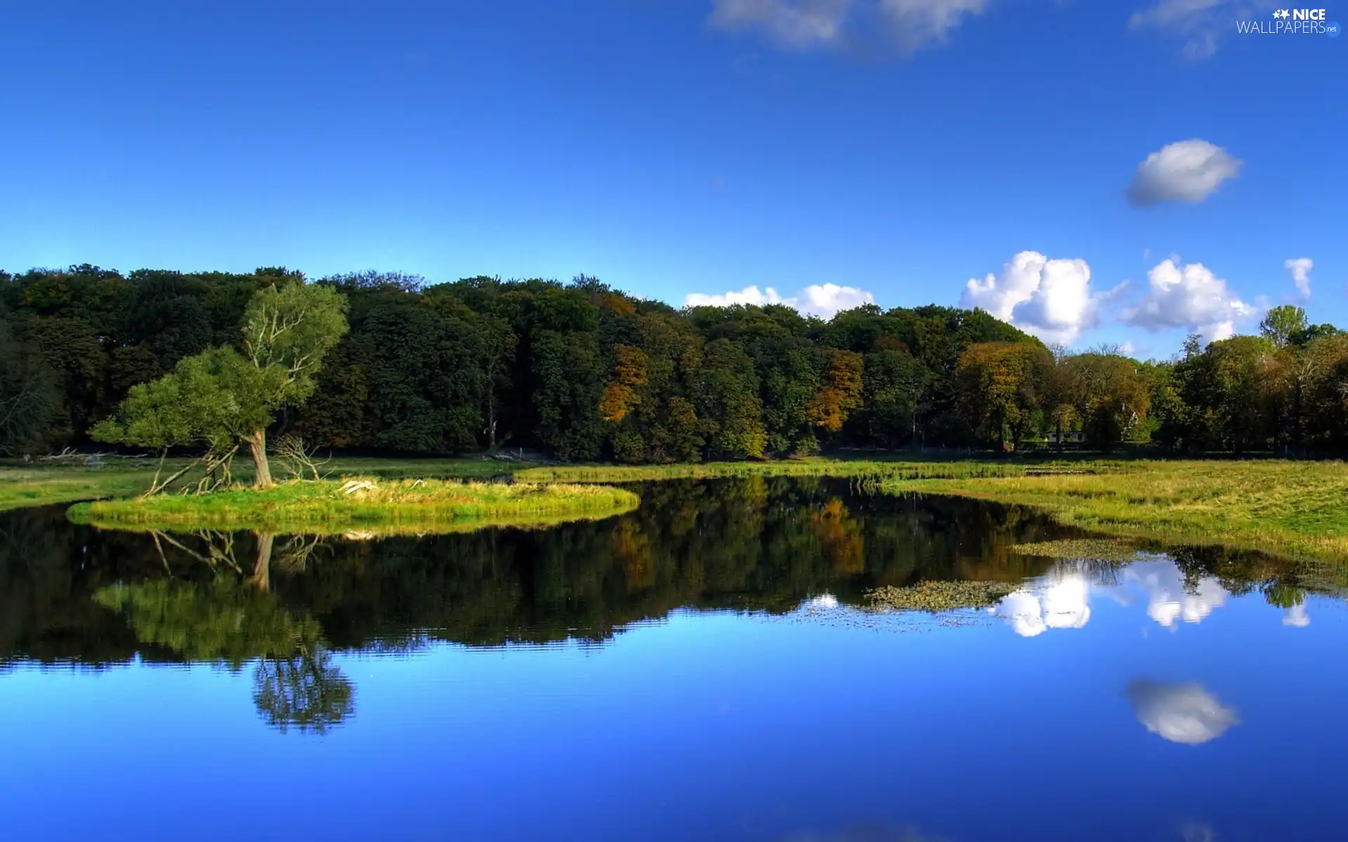 lake, trees, viewes, Islet