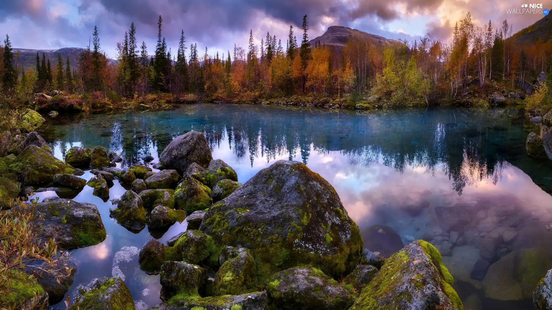 mossy, Mountains, trees, viewes, Stones, lake