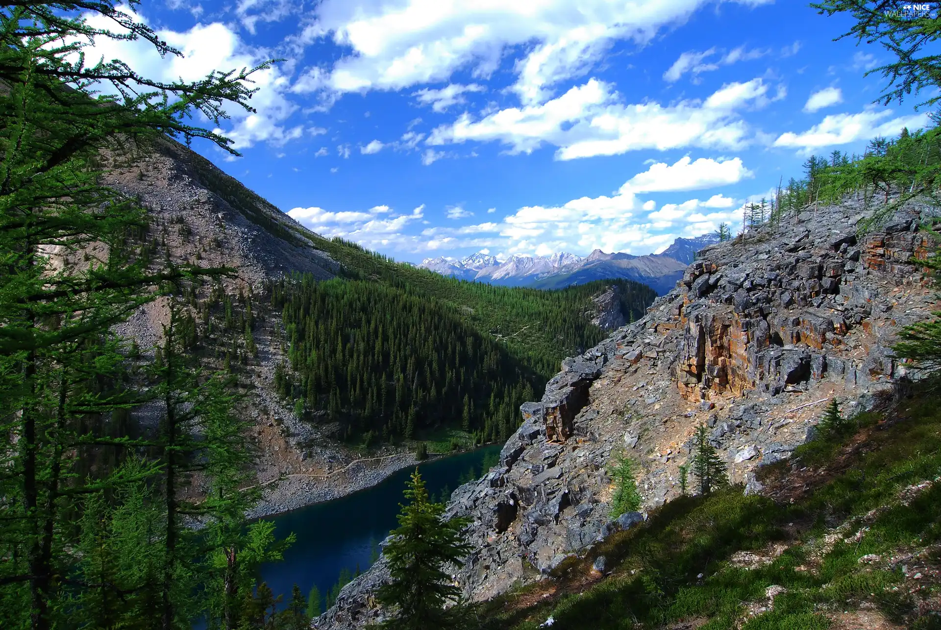 lake, trees, viewes, Mountains