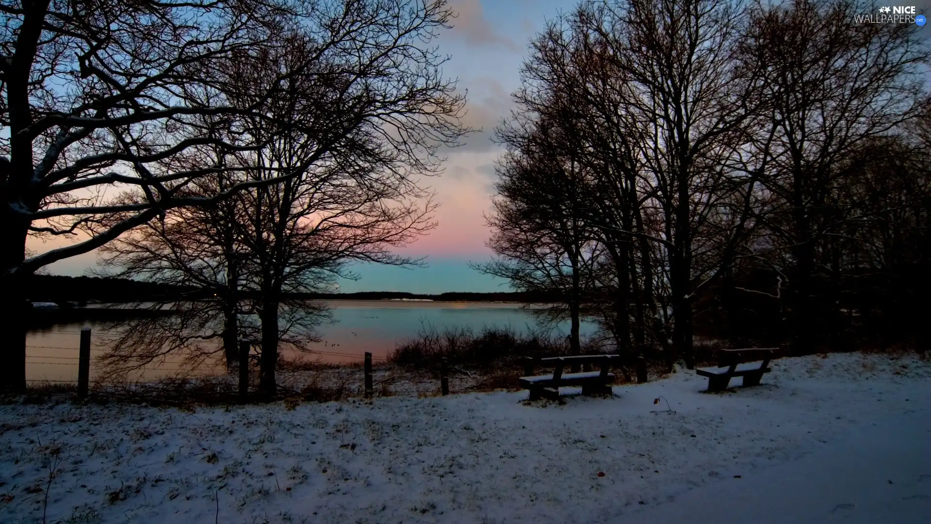 lake, trees, viewes, snow