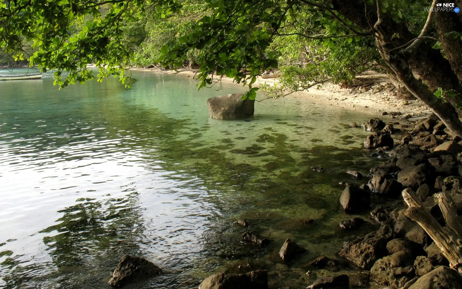 lake, trees, viewes, Stones