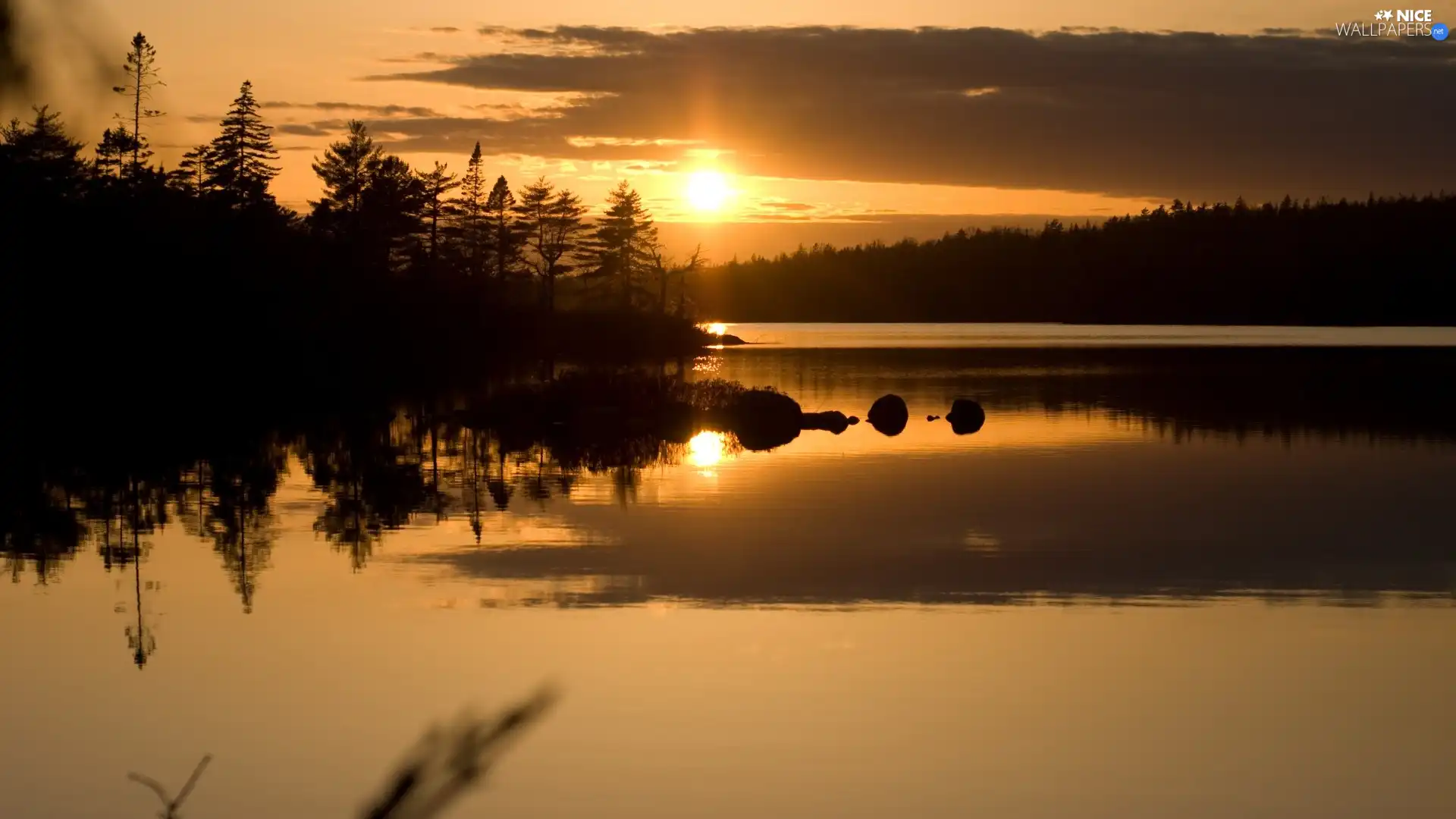 lake, trees, viewes, sun